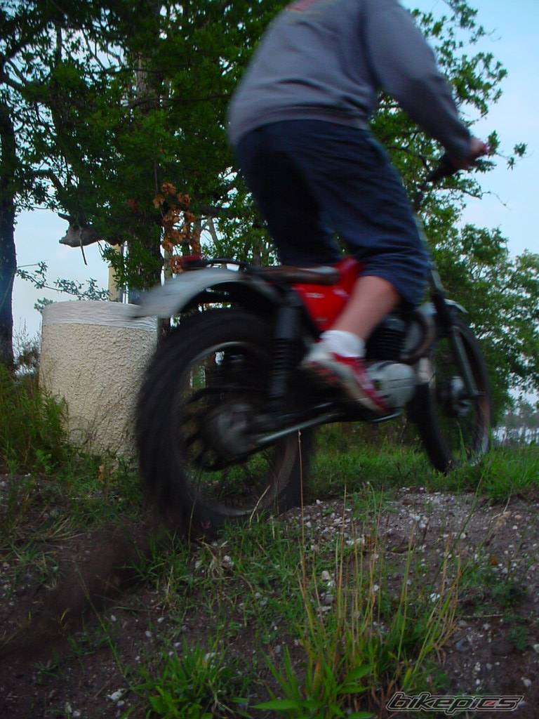 Photo 260716