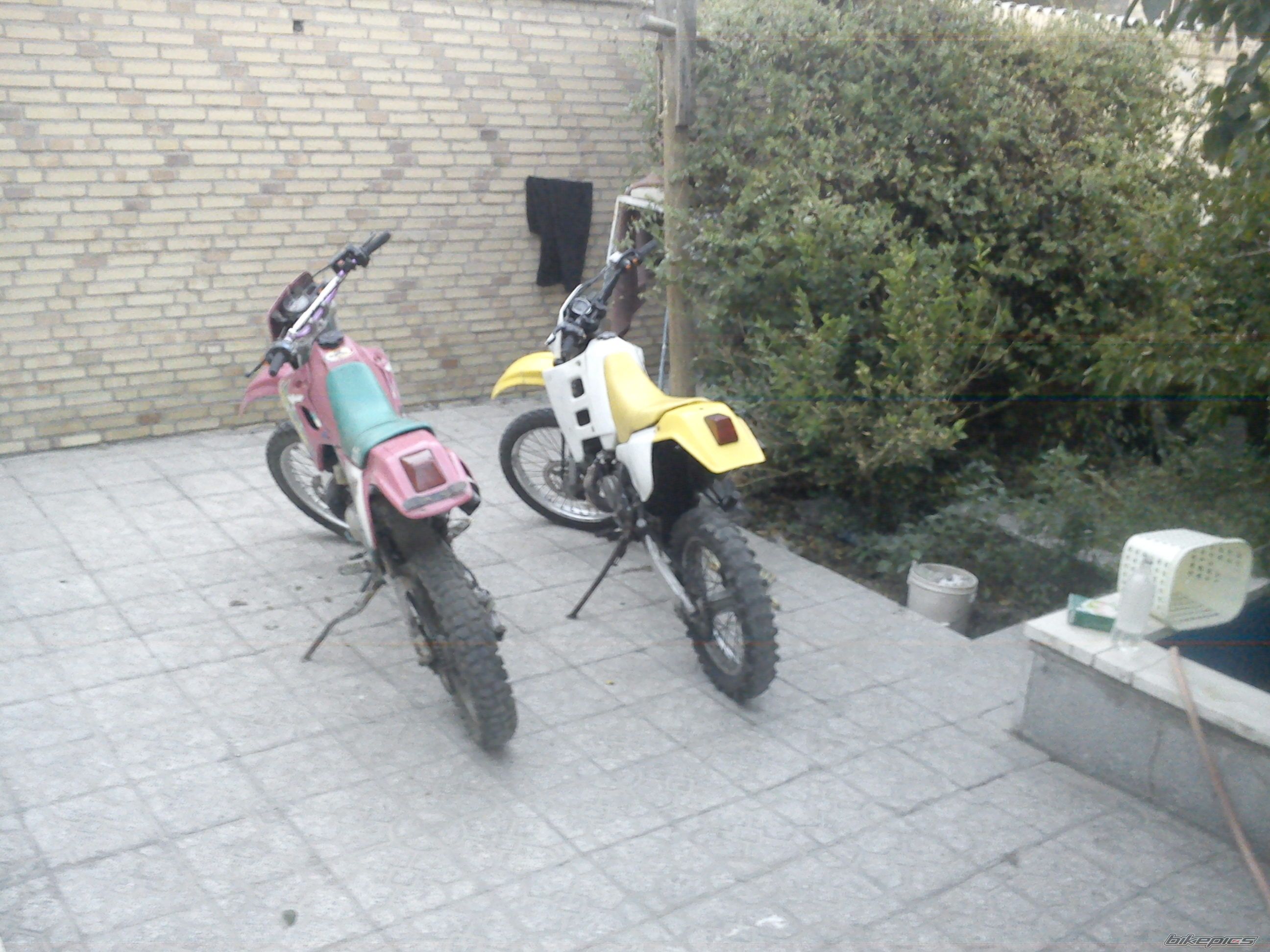 Photo 2607193