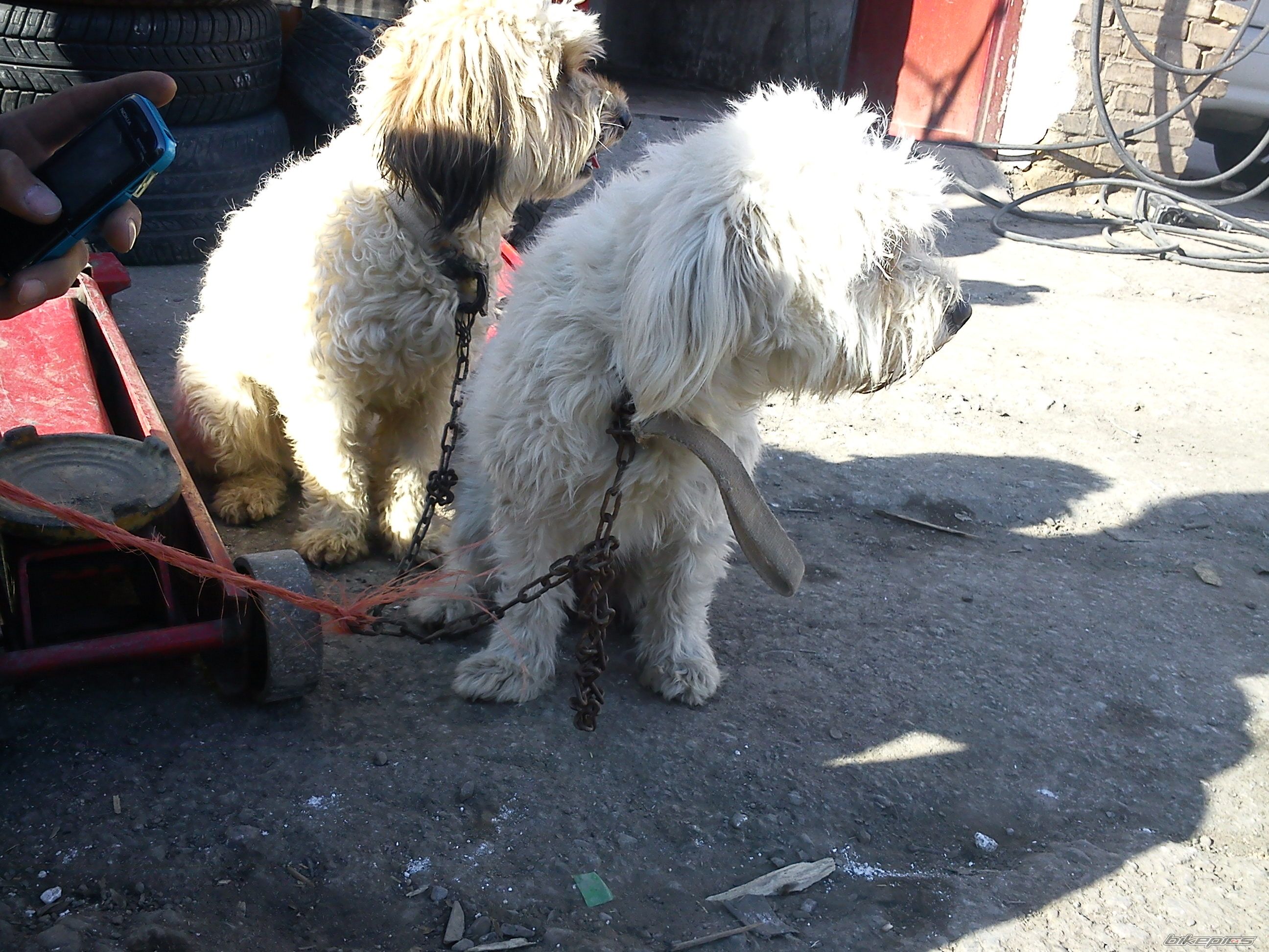 Photo 2607200