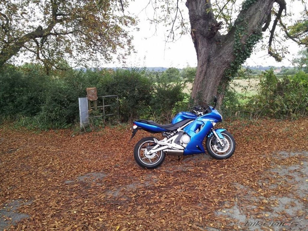 Photo 2607226