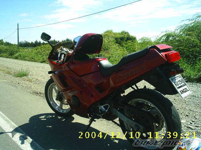 Photo 260723