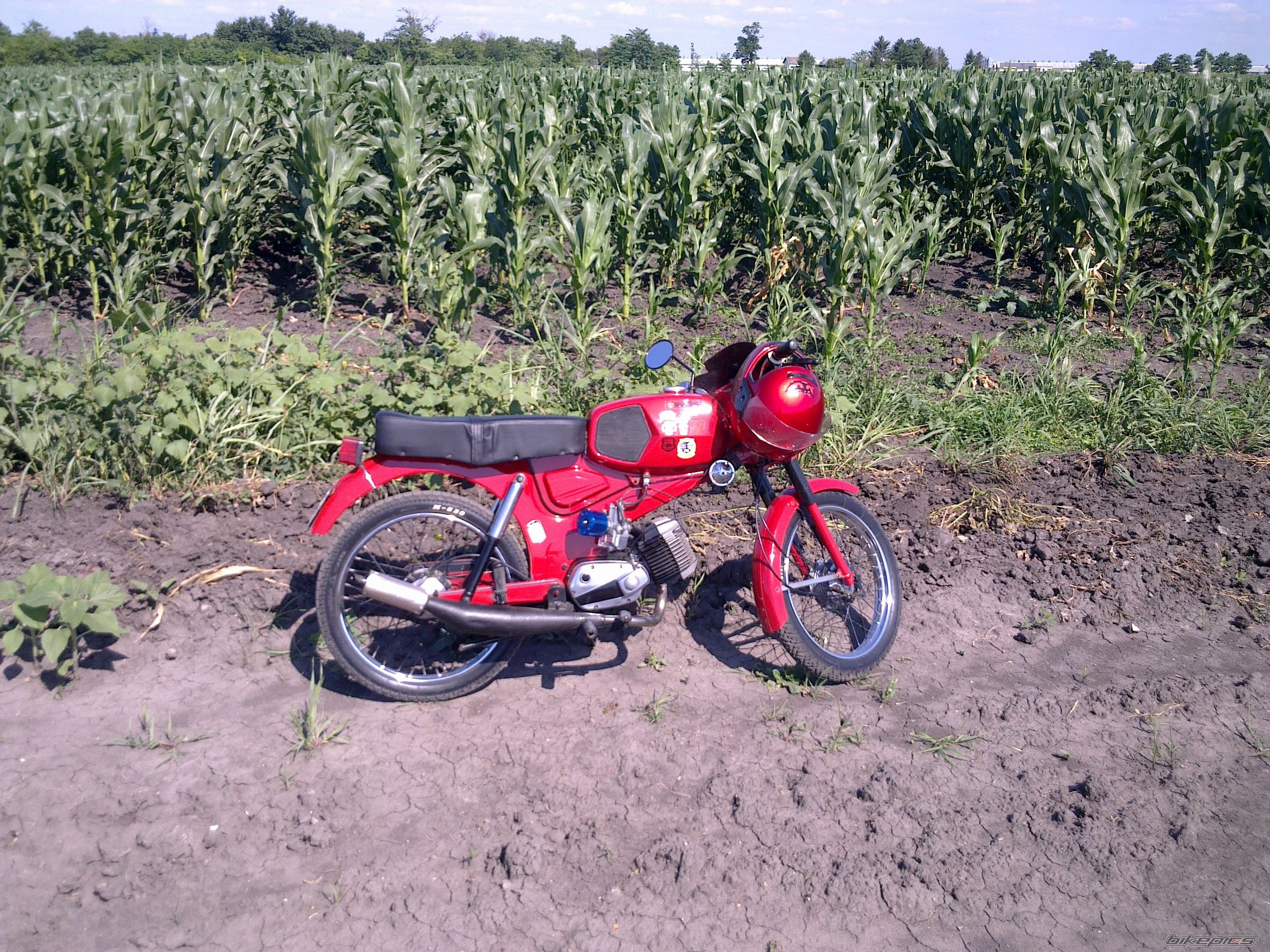 Photo 2607240