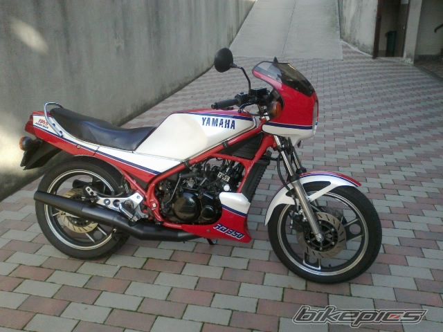 Photo 2607259