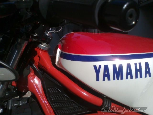 Photo 2607261