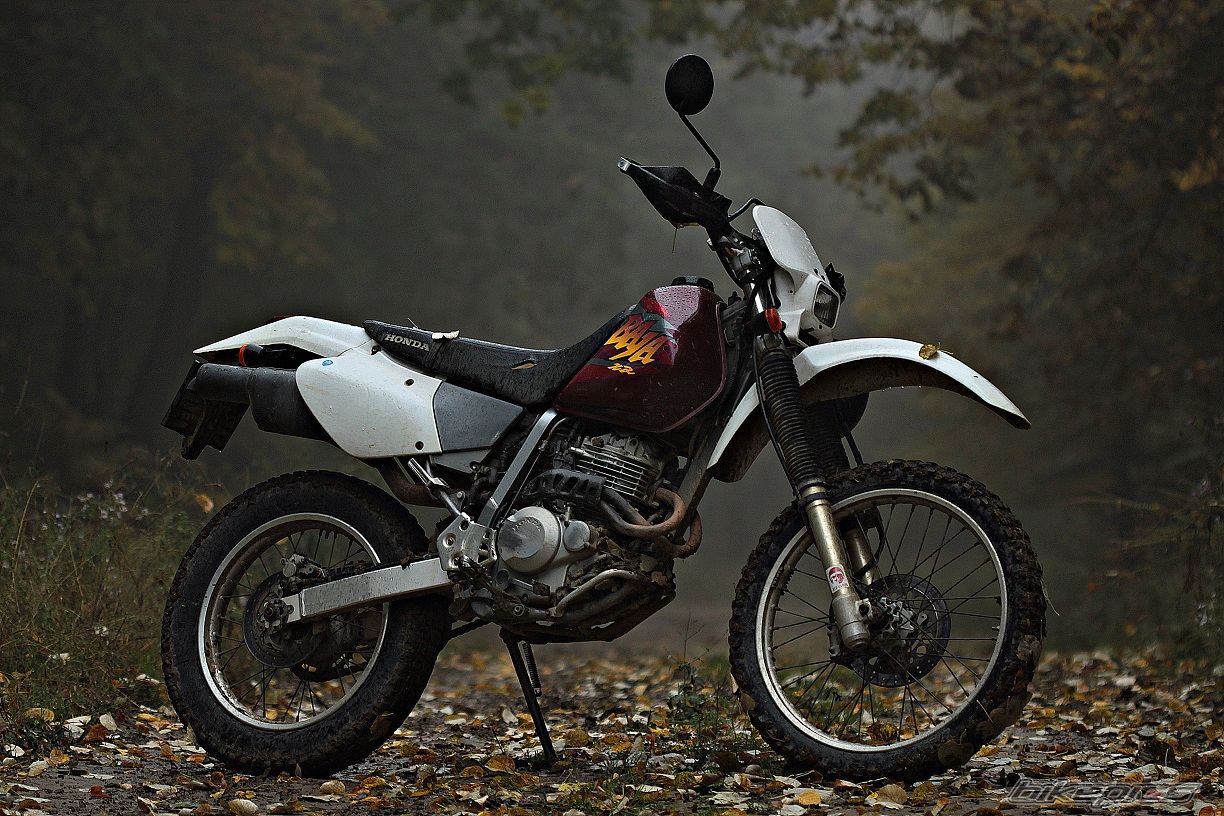 Bike Photo 2607286