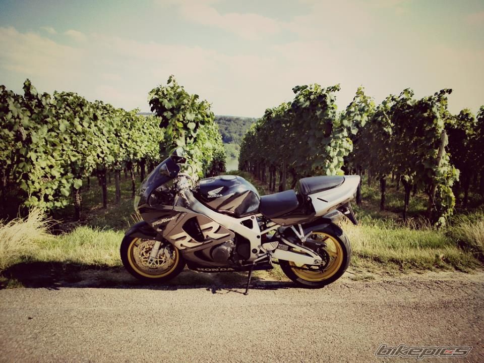 Photo 2607337