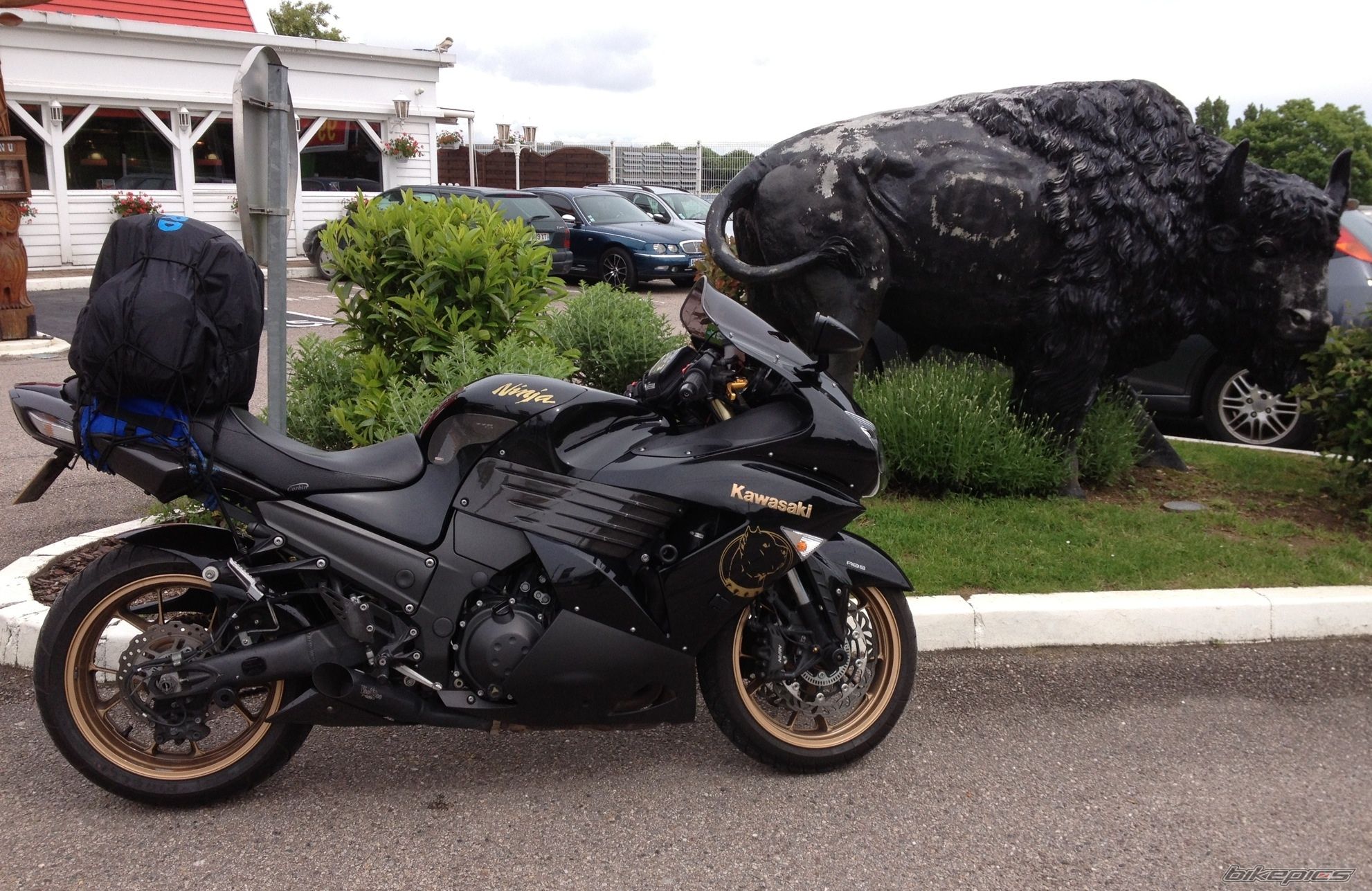 Photo 2607675