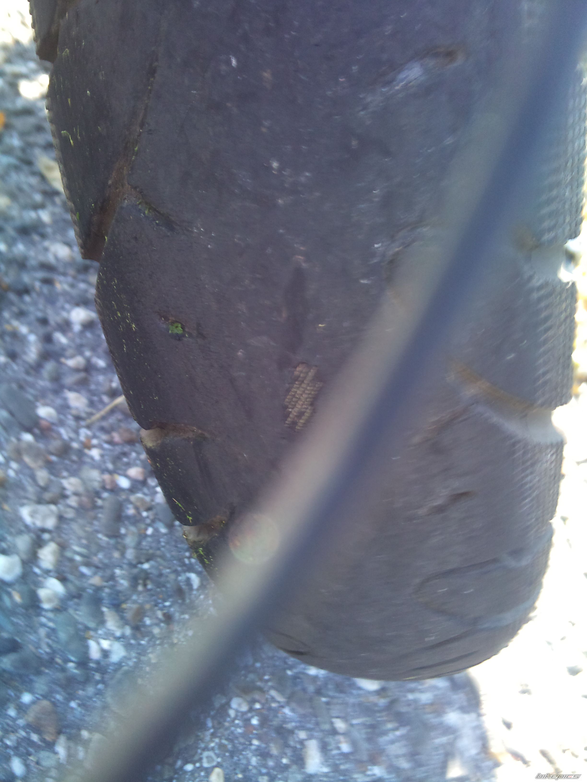 Photo 2607734