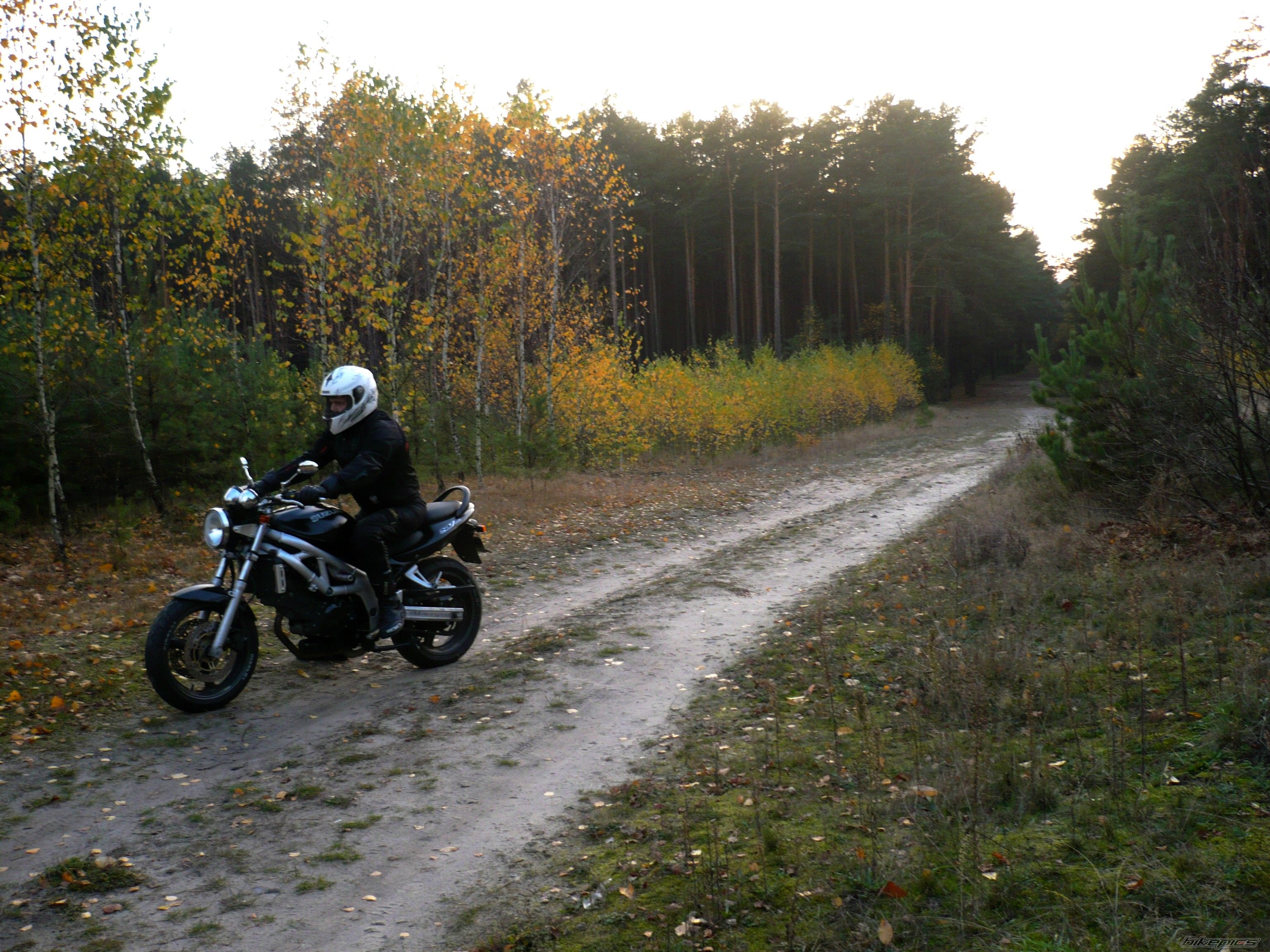 Photo 2607778