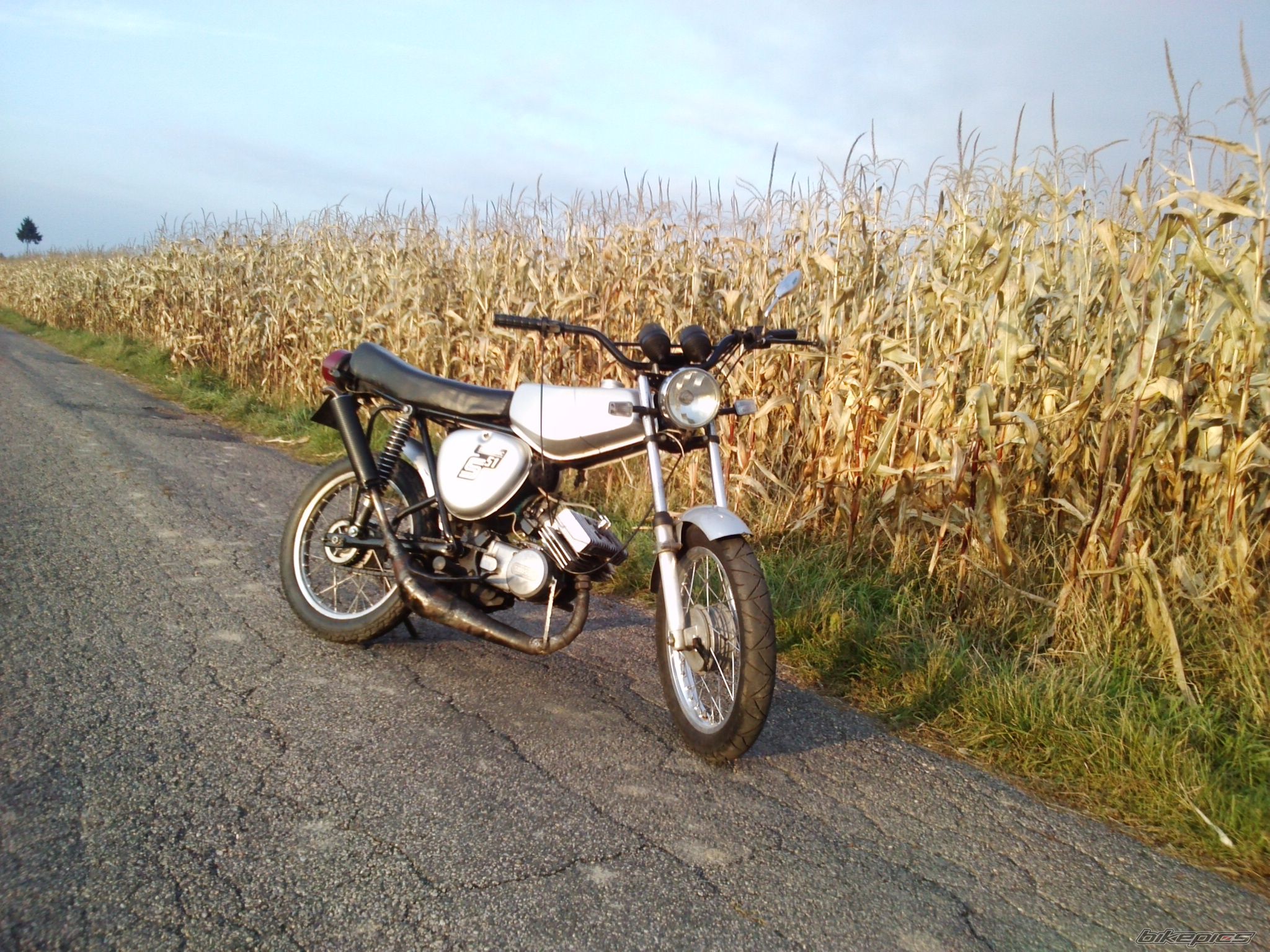 Photo 2607788