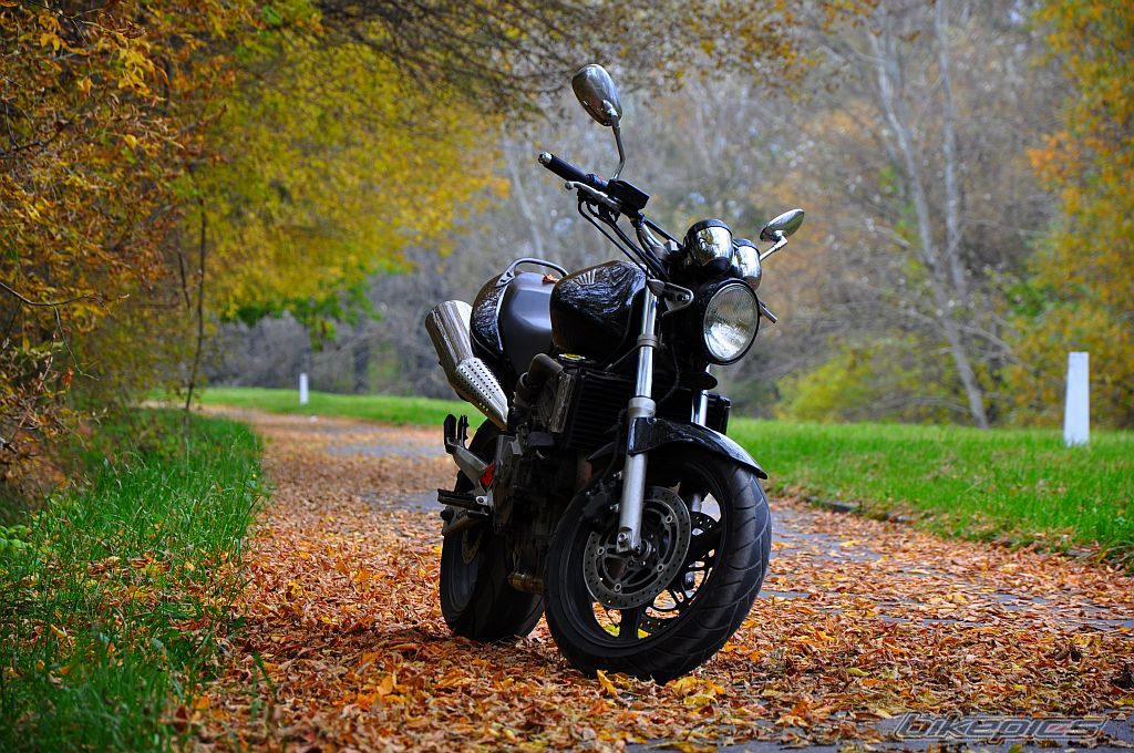 Bike Photo 2607976