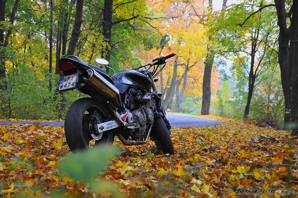 Bike Photo 2607979