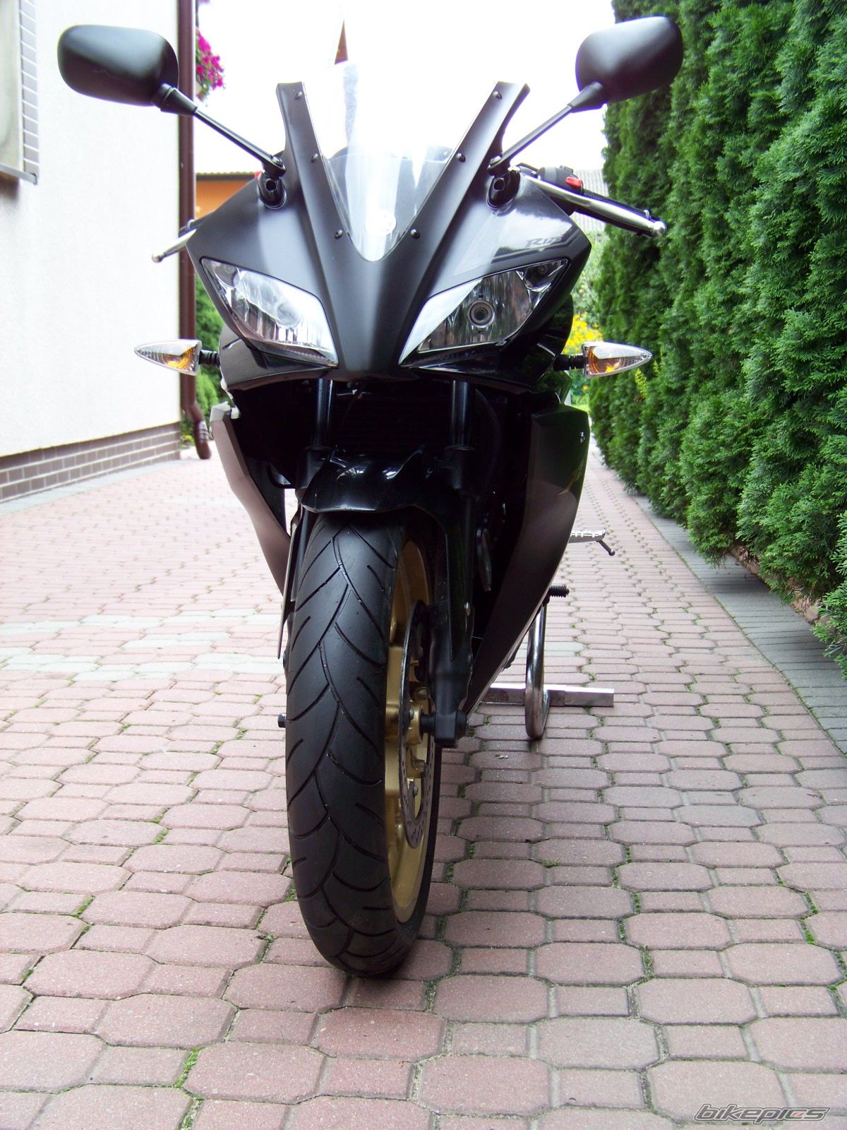 Photo 2608370