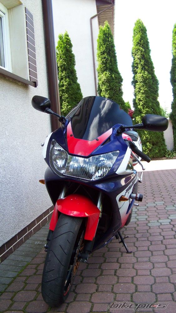 Photo 2608379
