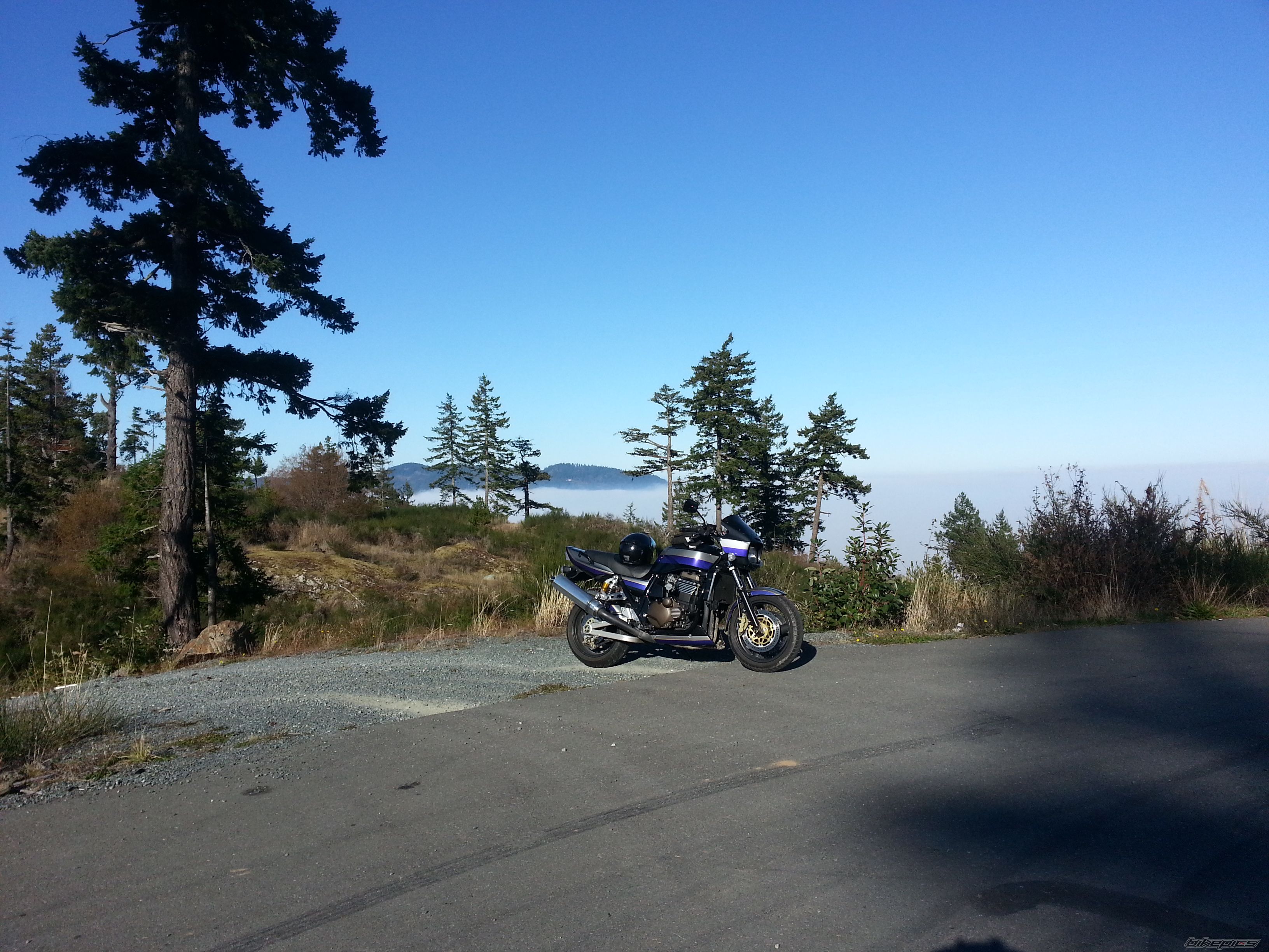 Photo 2608465