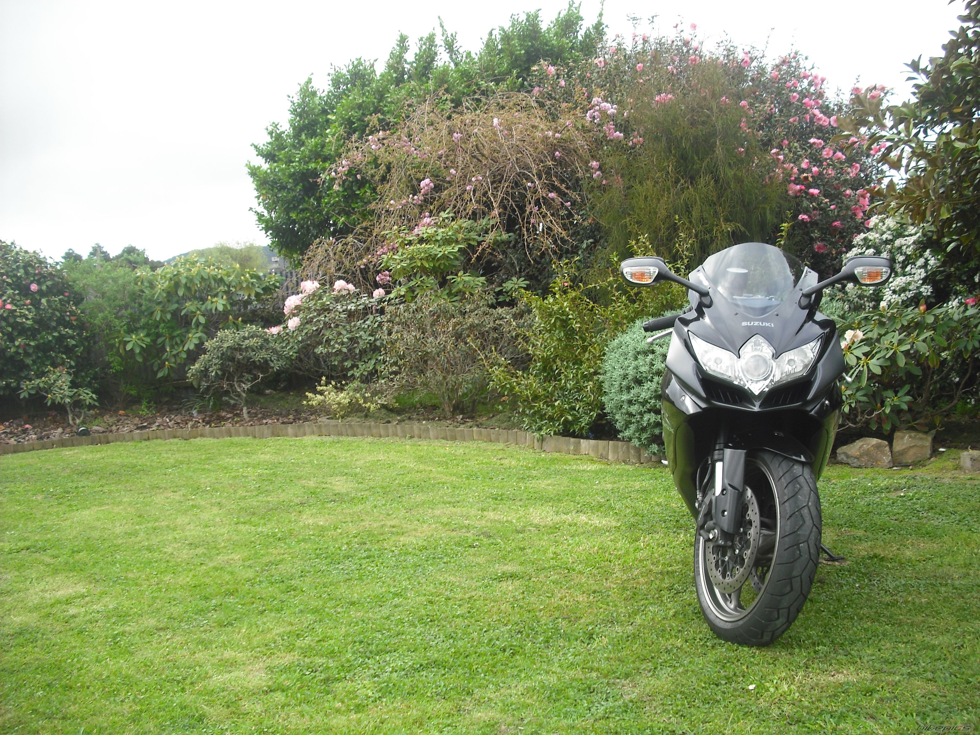 Photo 2608473
