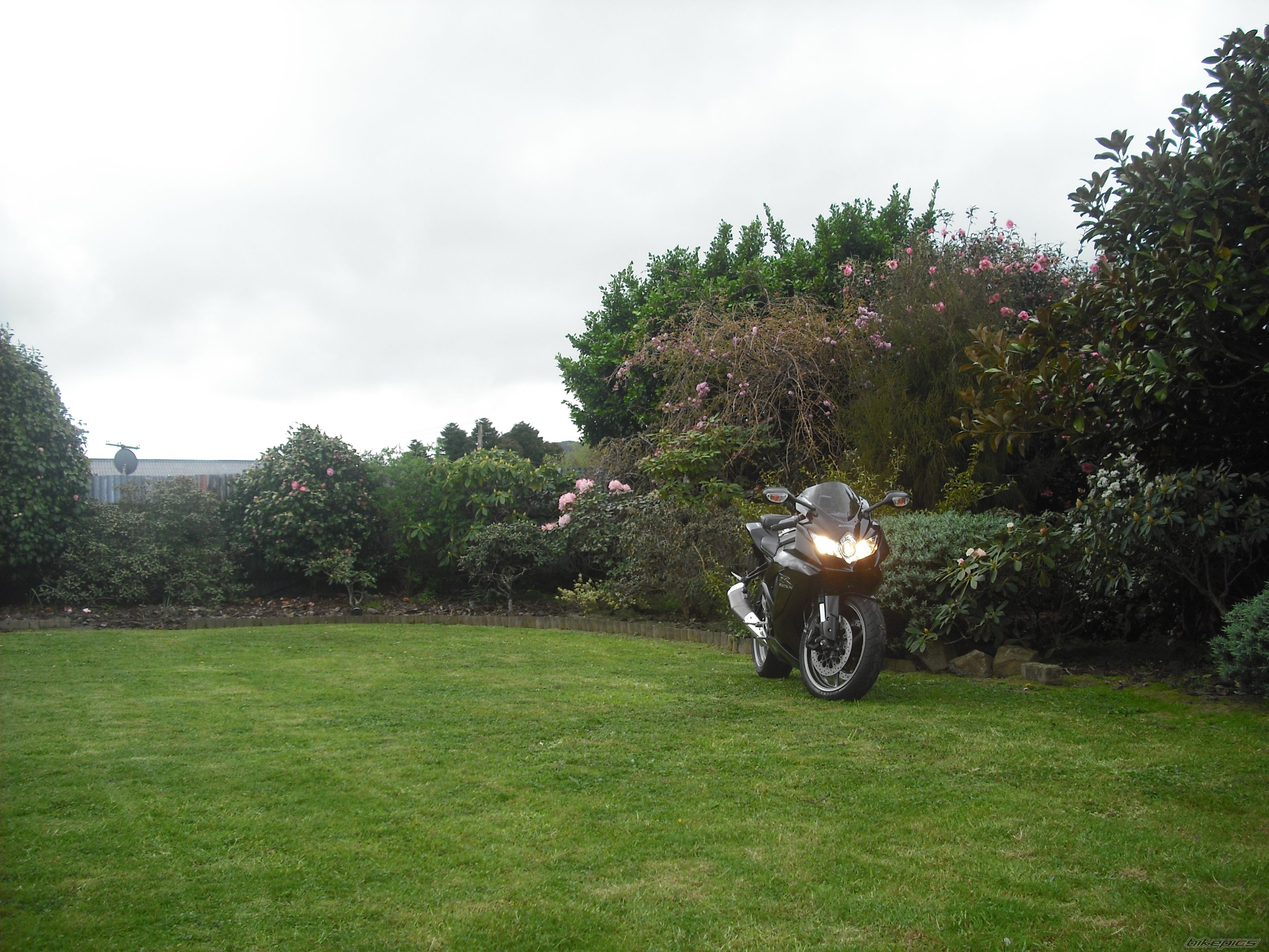 Photo 2608475