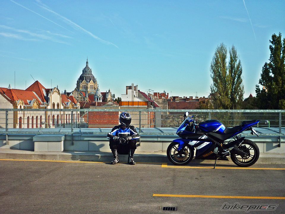 Photo 2608584