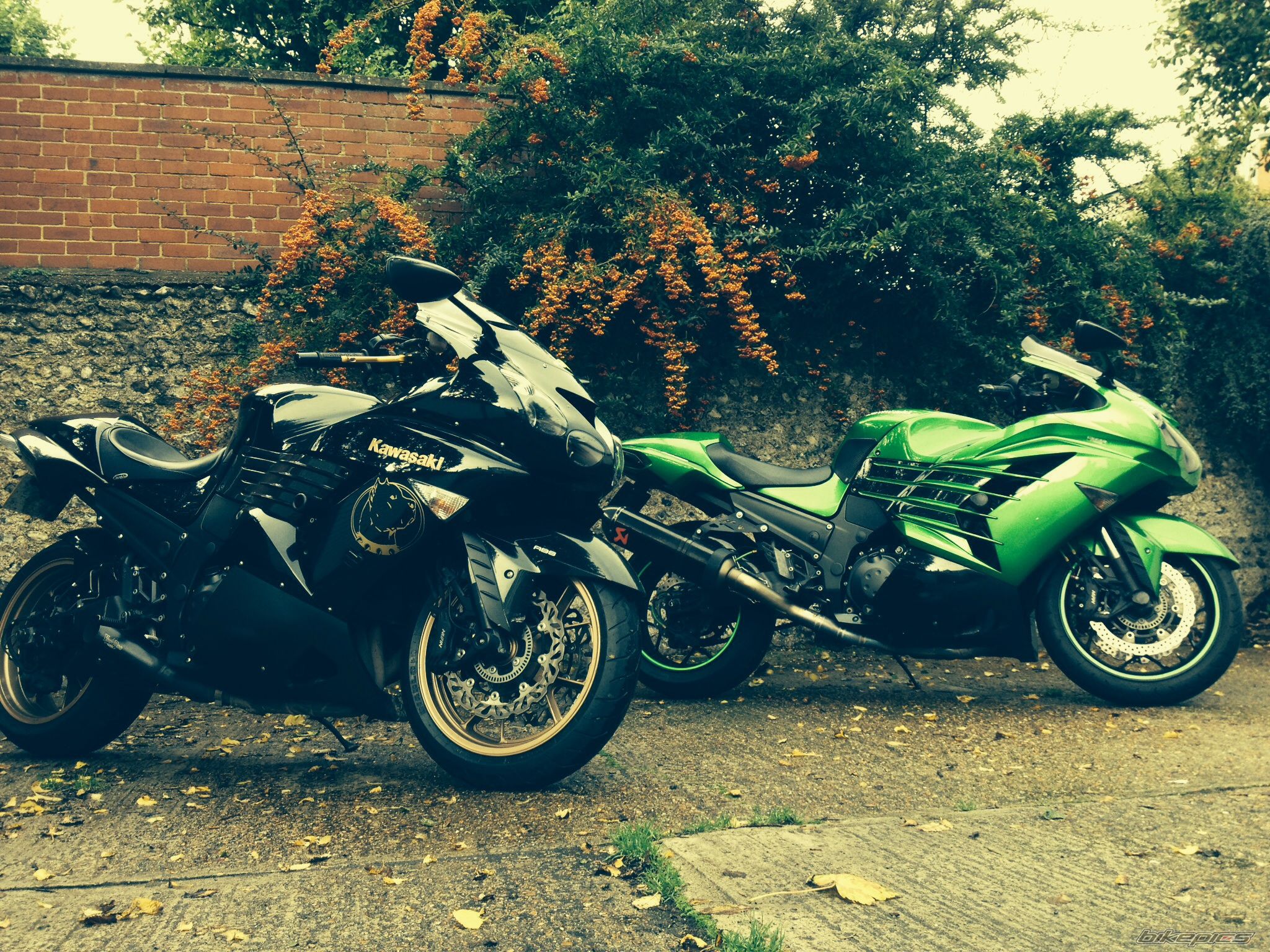 Photo 2608594