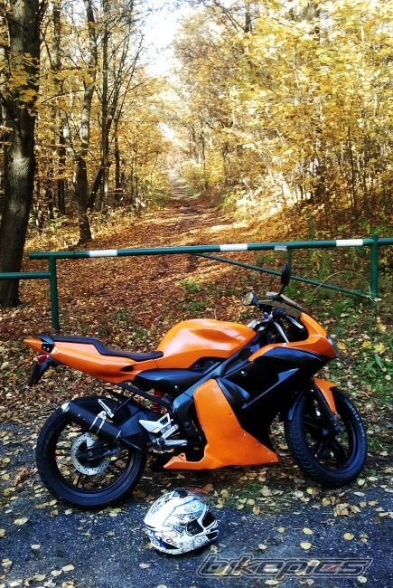 Photo 2608654
