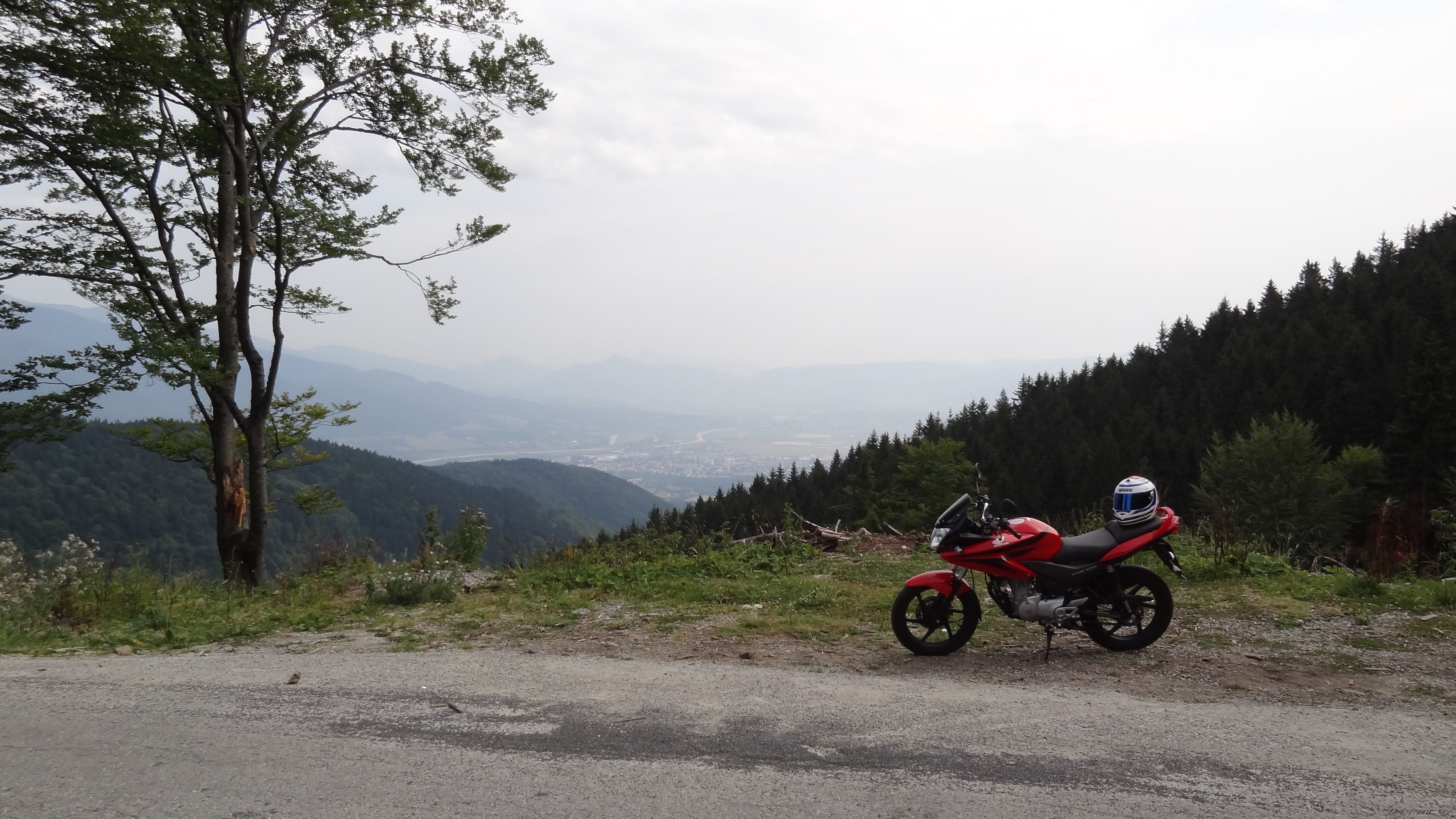 Photo 2608661