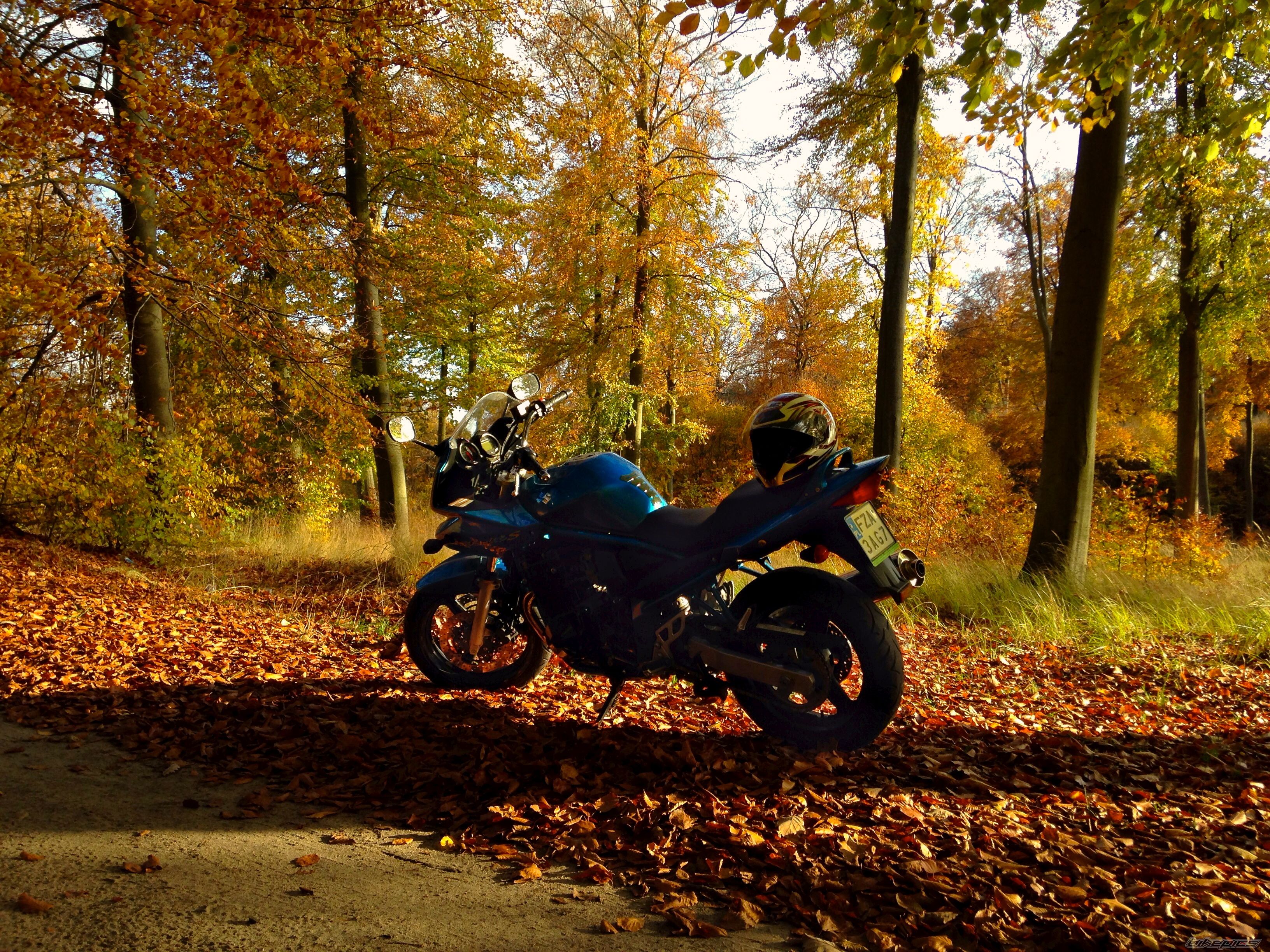 Bike Photo 2608682