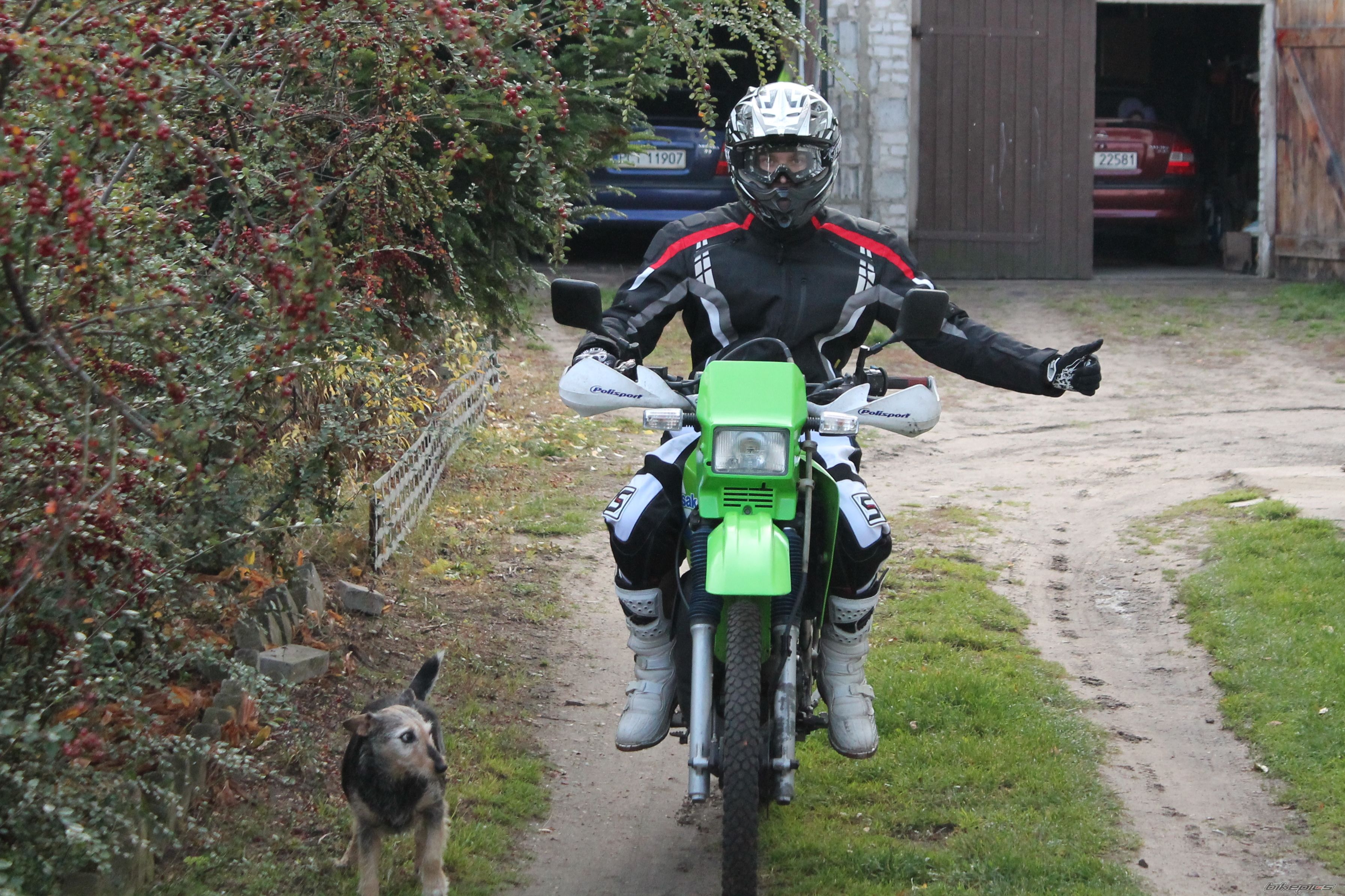 Bike Photo 2608723