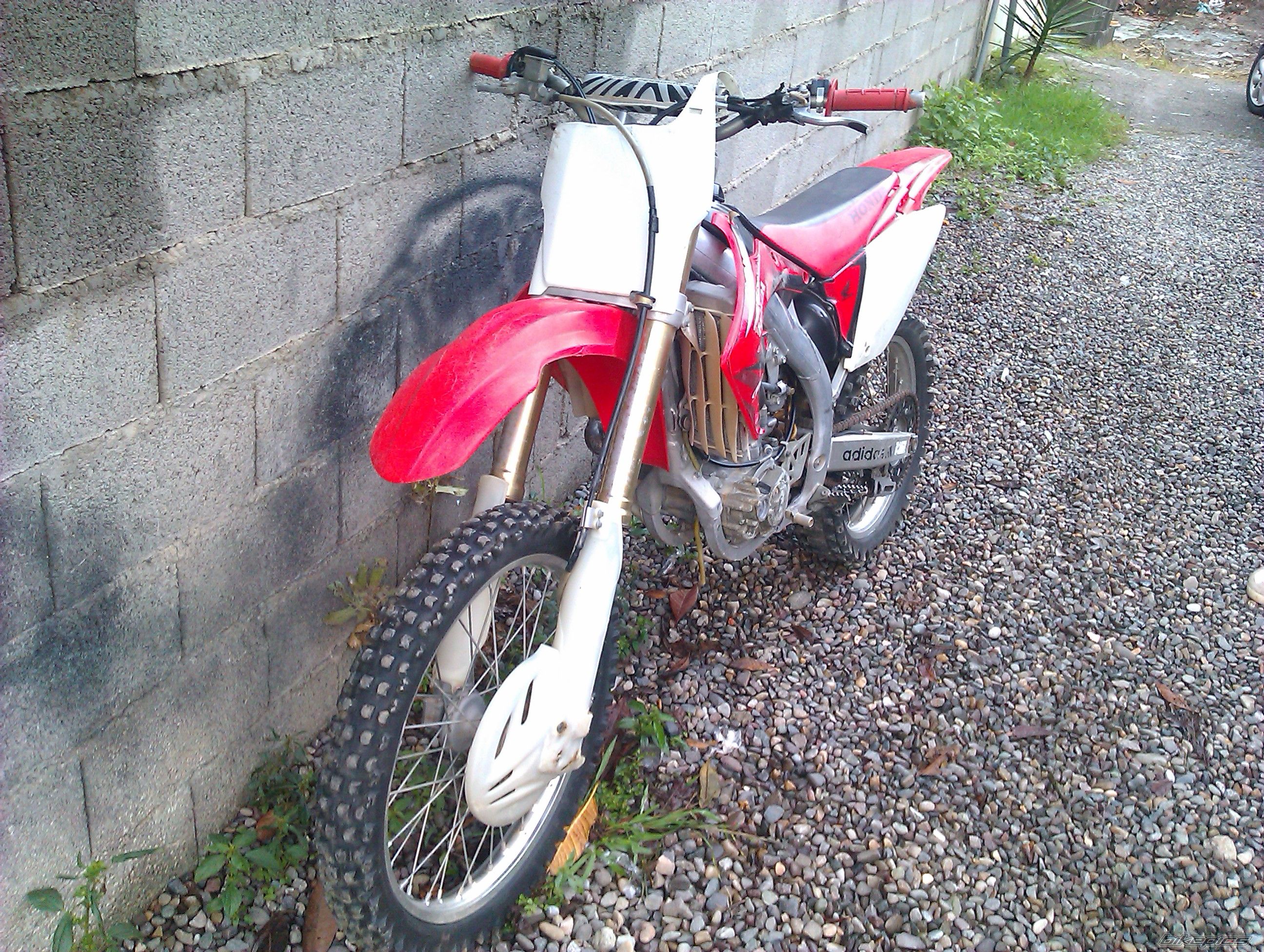Photo 2608743