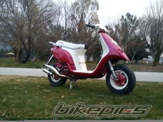 Photo 2608777