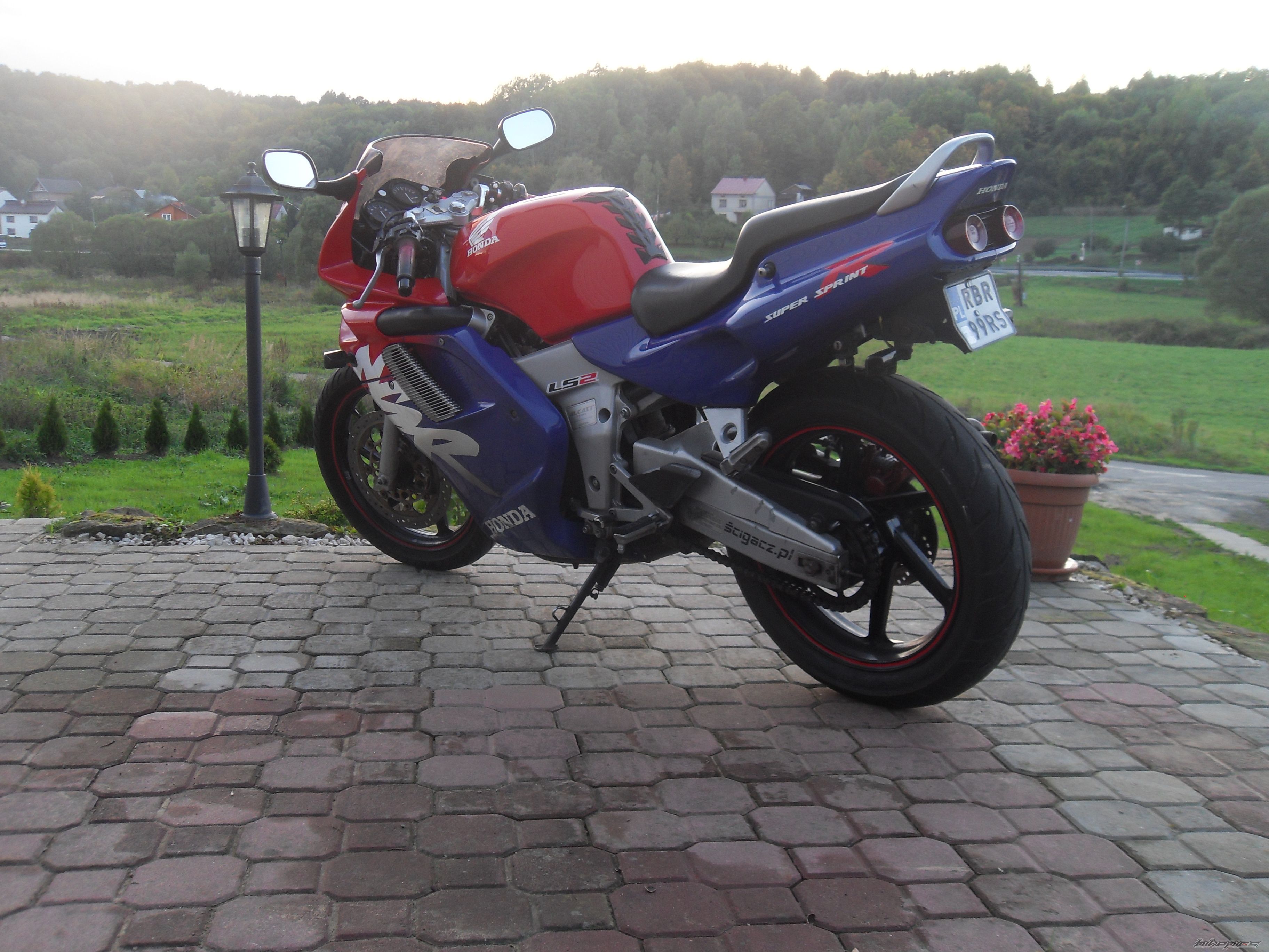 Photo 2608782