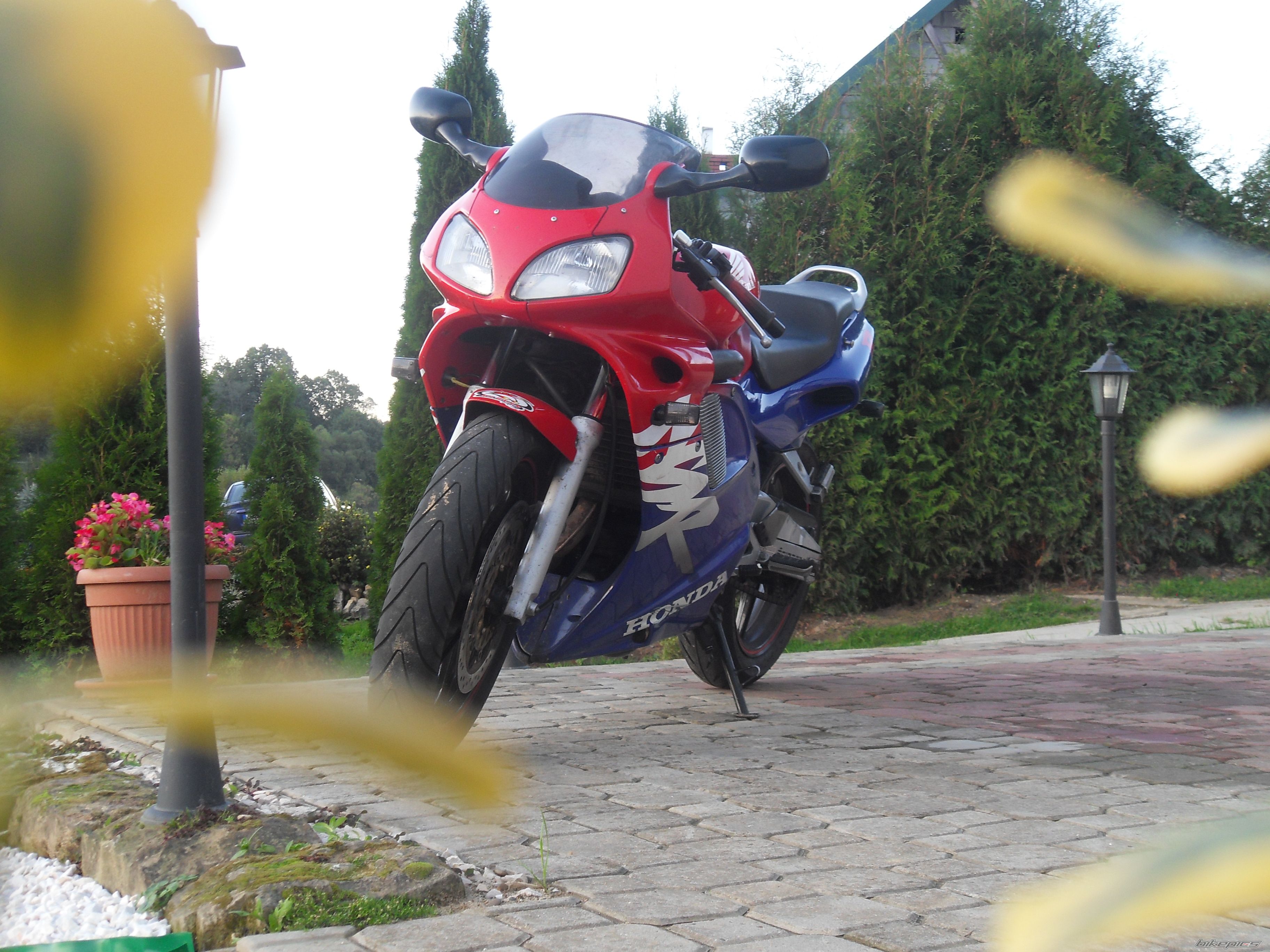 Photo 2608788