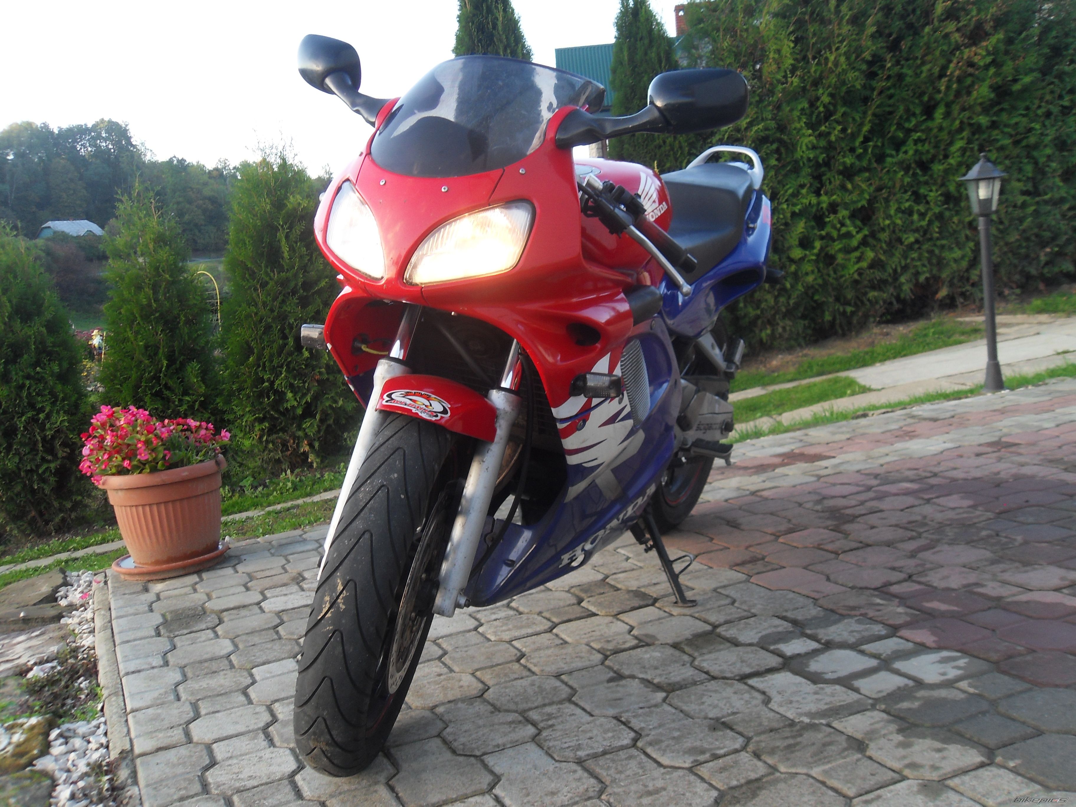 Photo 2608789