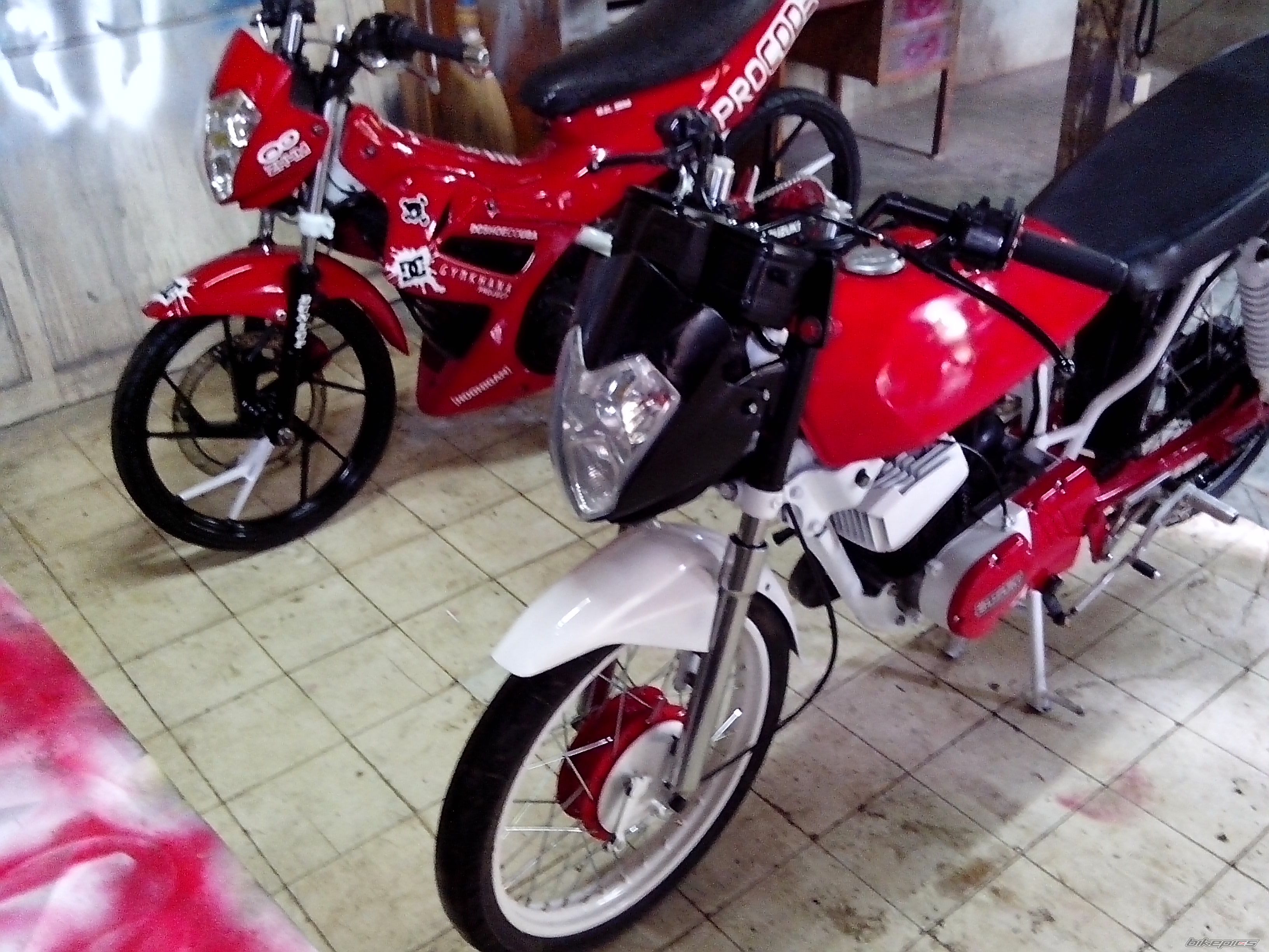 Photo 2608832