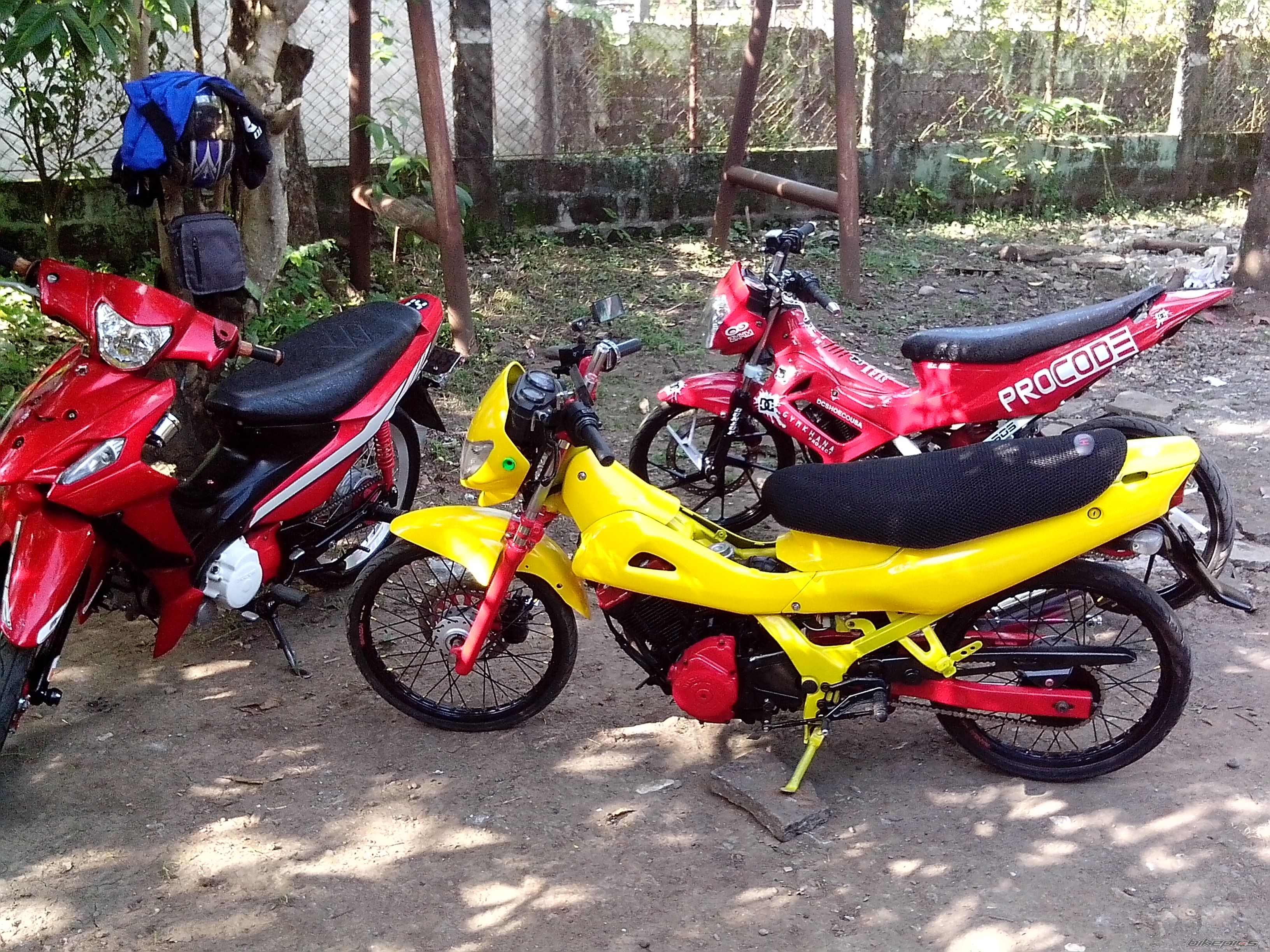 Photo 2608833