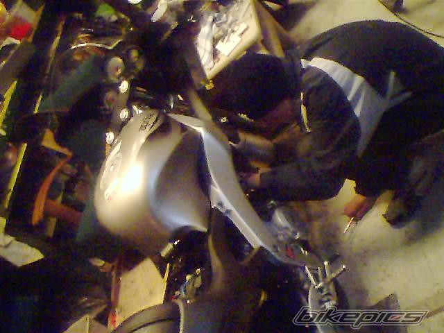 Photo 260884