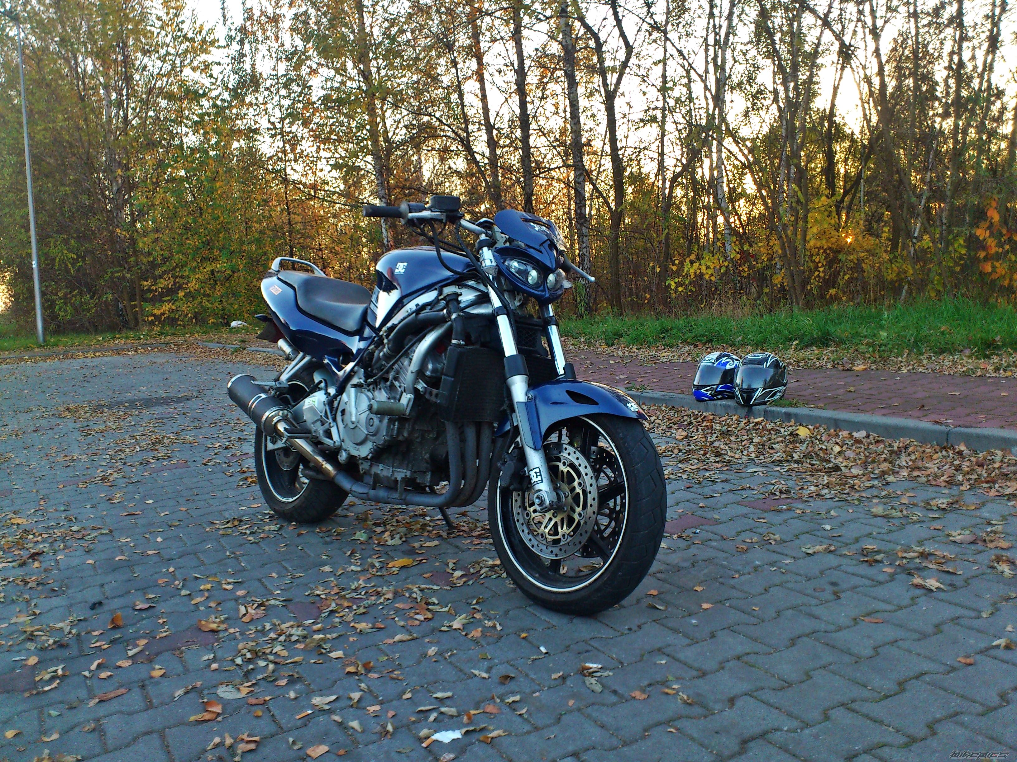 Photo 2608871