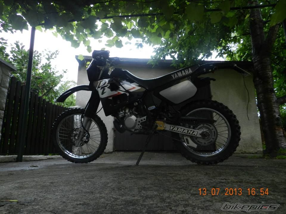 Photo 2608878