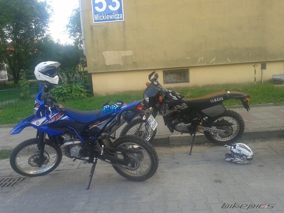 Photo 2608881