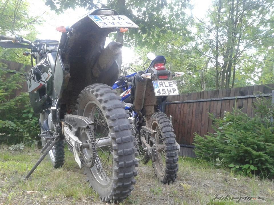 Photo 2608882