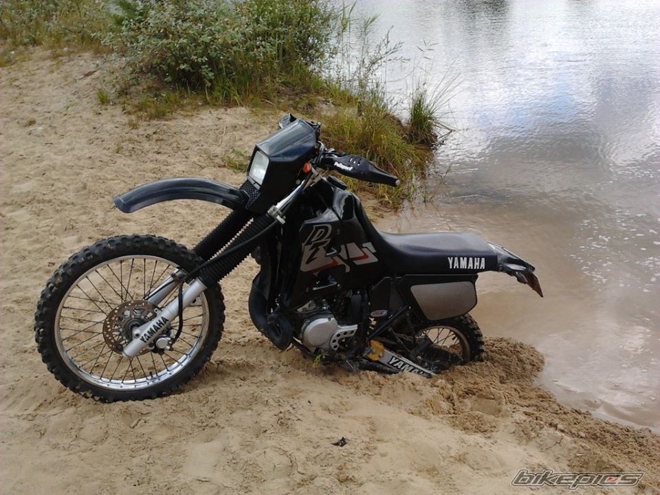 Photo 2608887