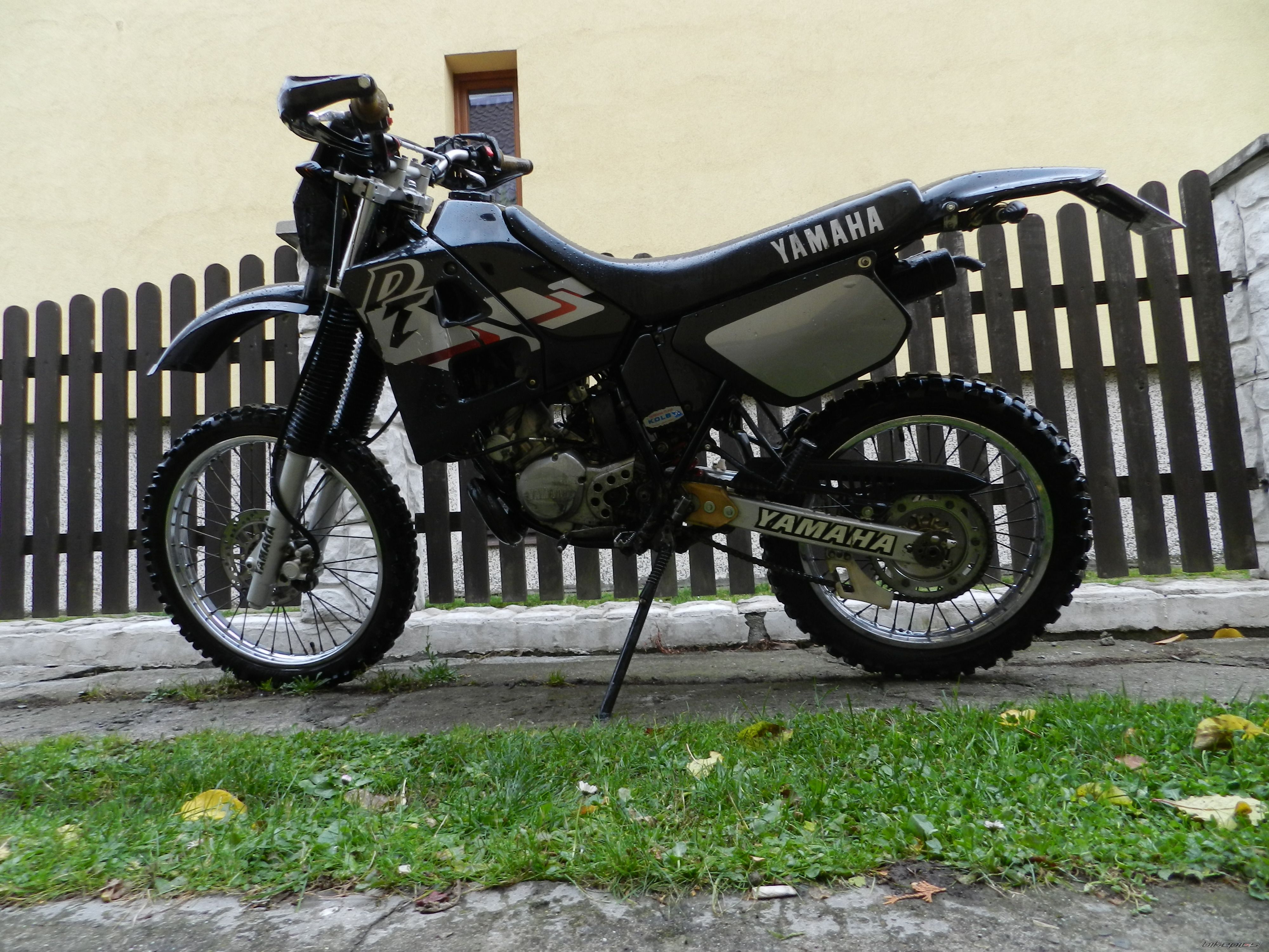 Photo 2608889
