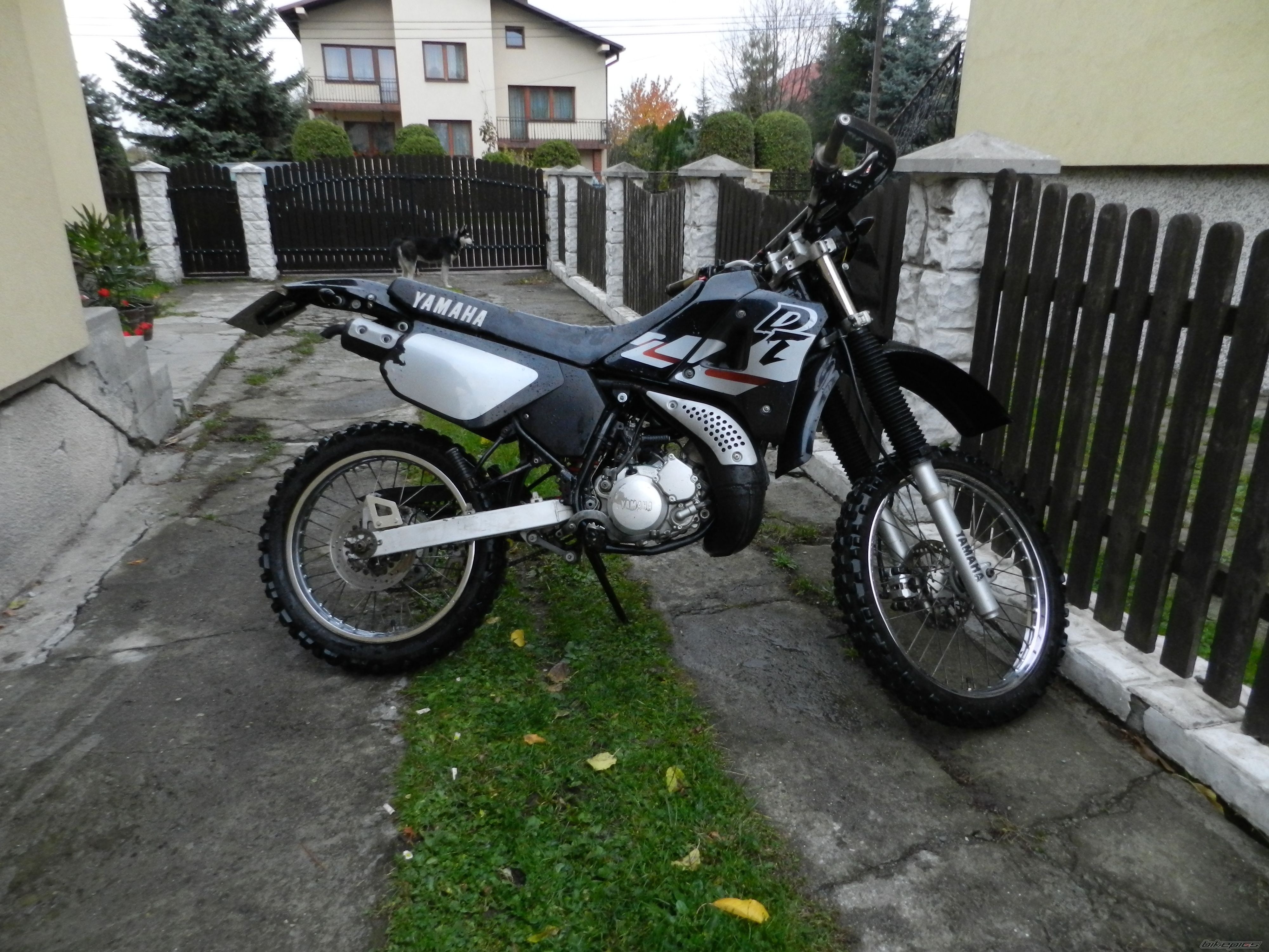 Photo 2608890