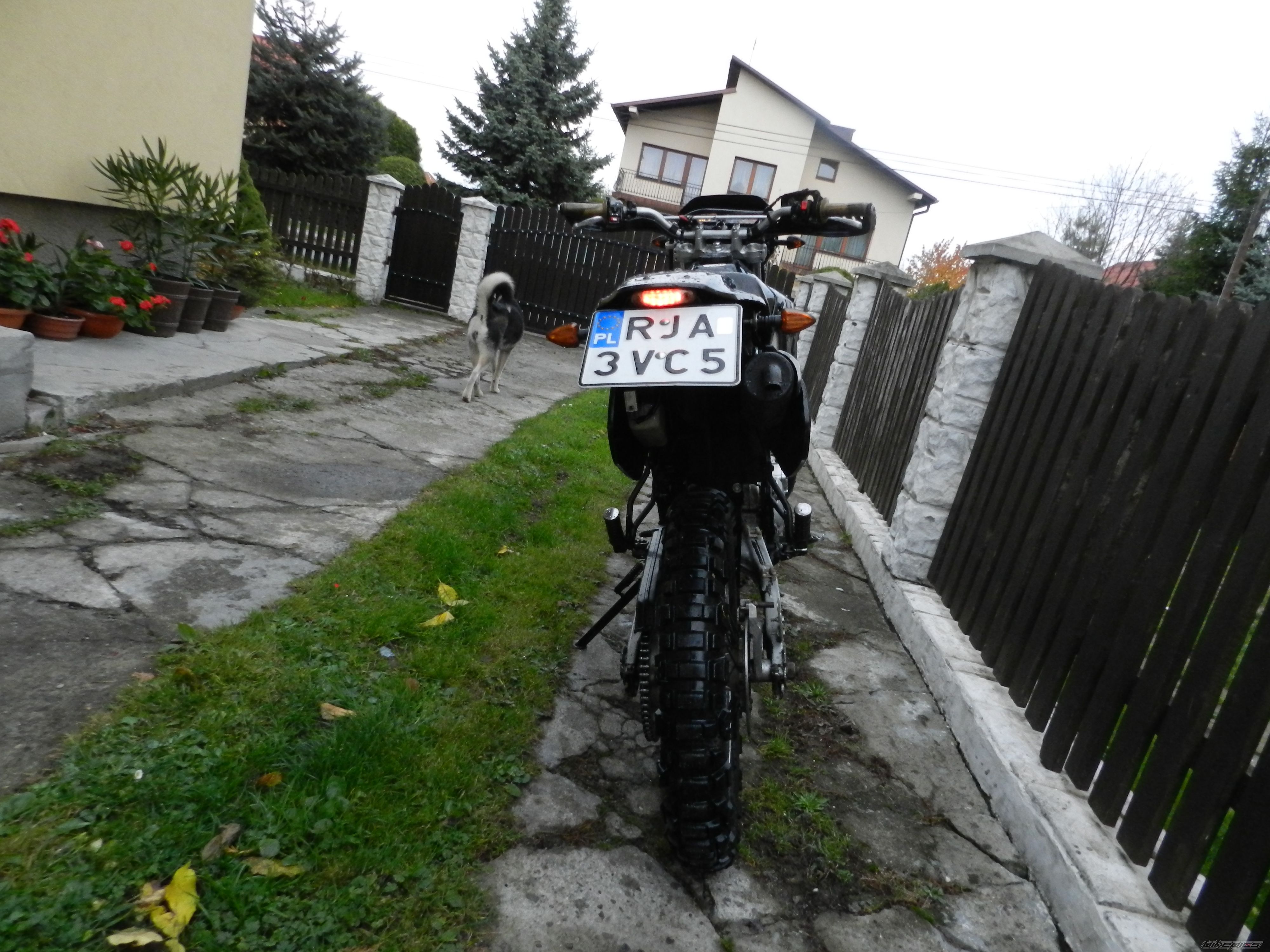 Photo 2608891