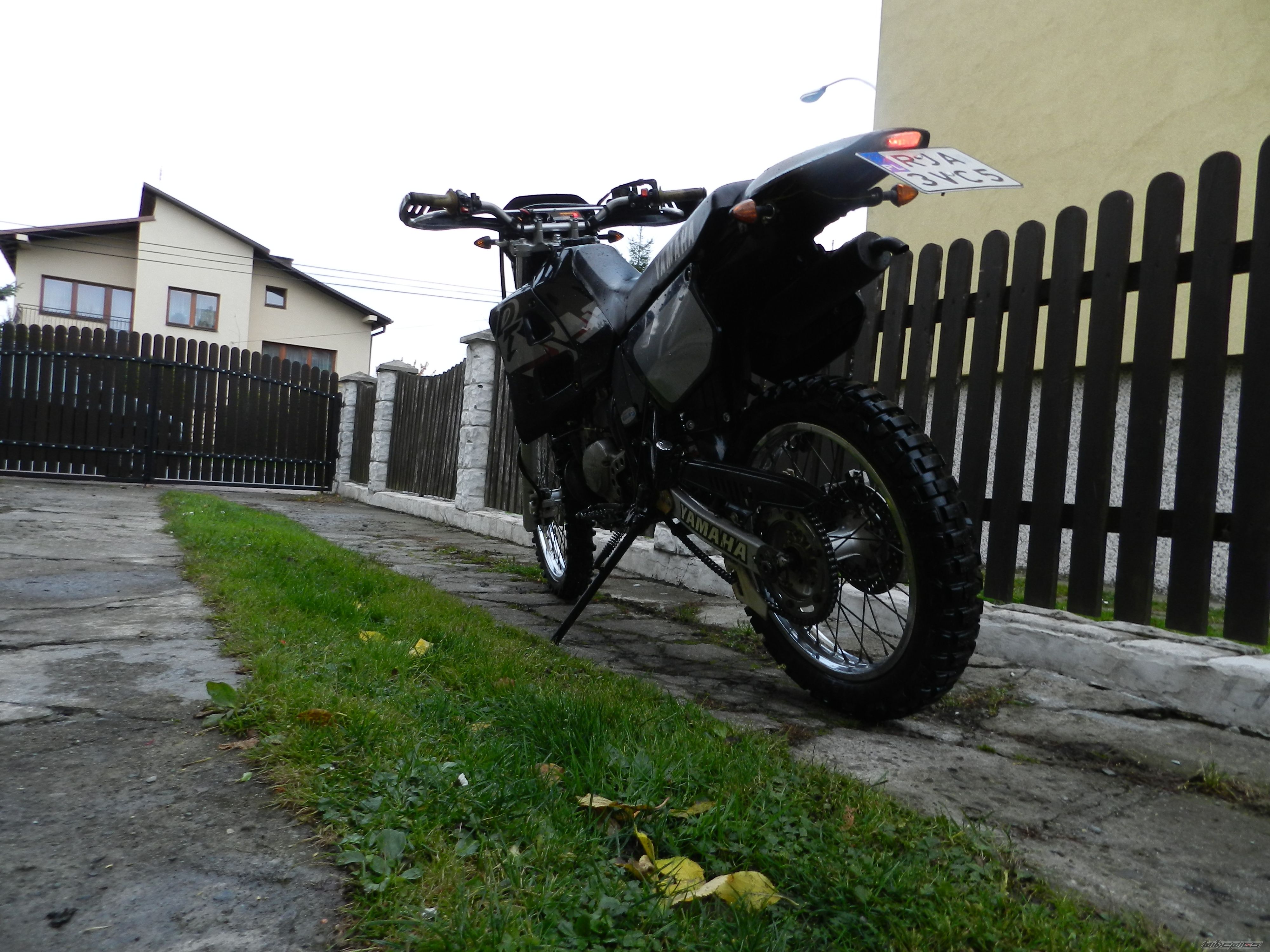 Photo 2608892