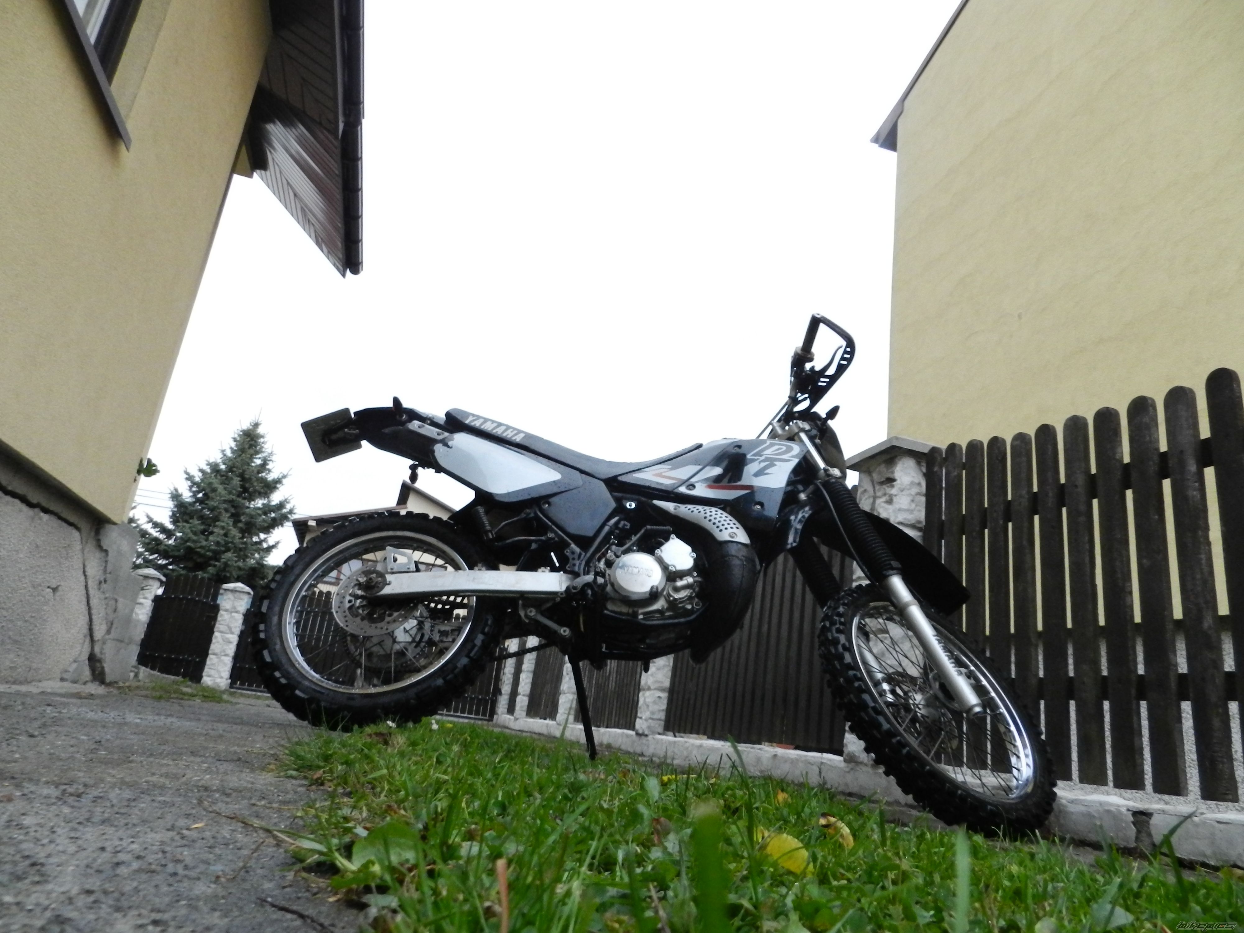 Photo 2608894