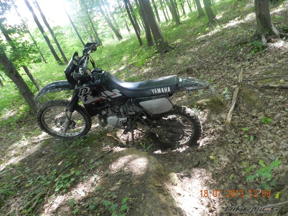Photo 2608902