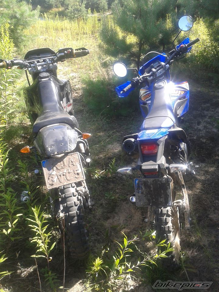 Photo 2608904