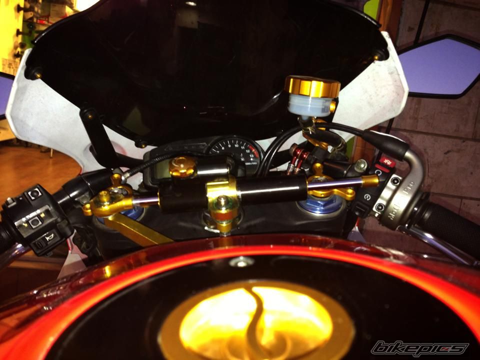 Photo 2608914