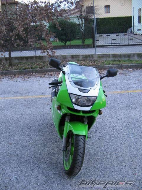 Photo 260892