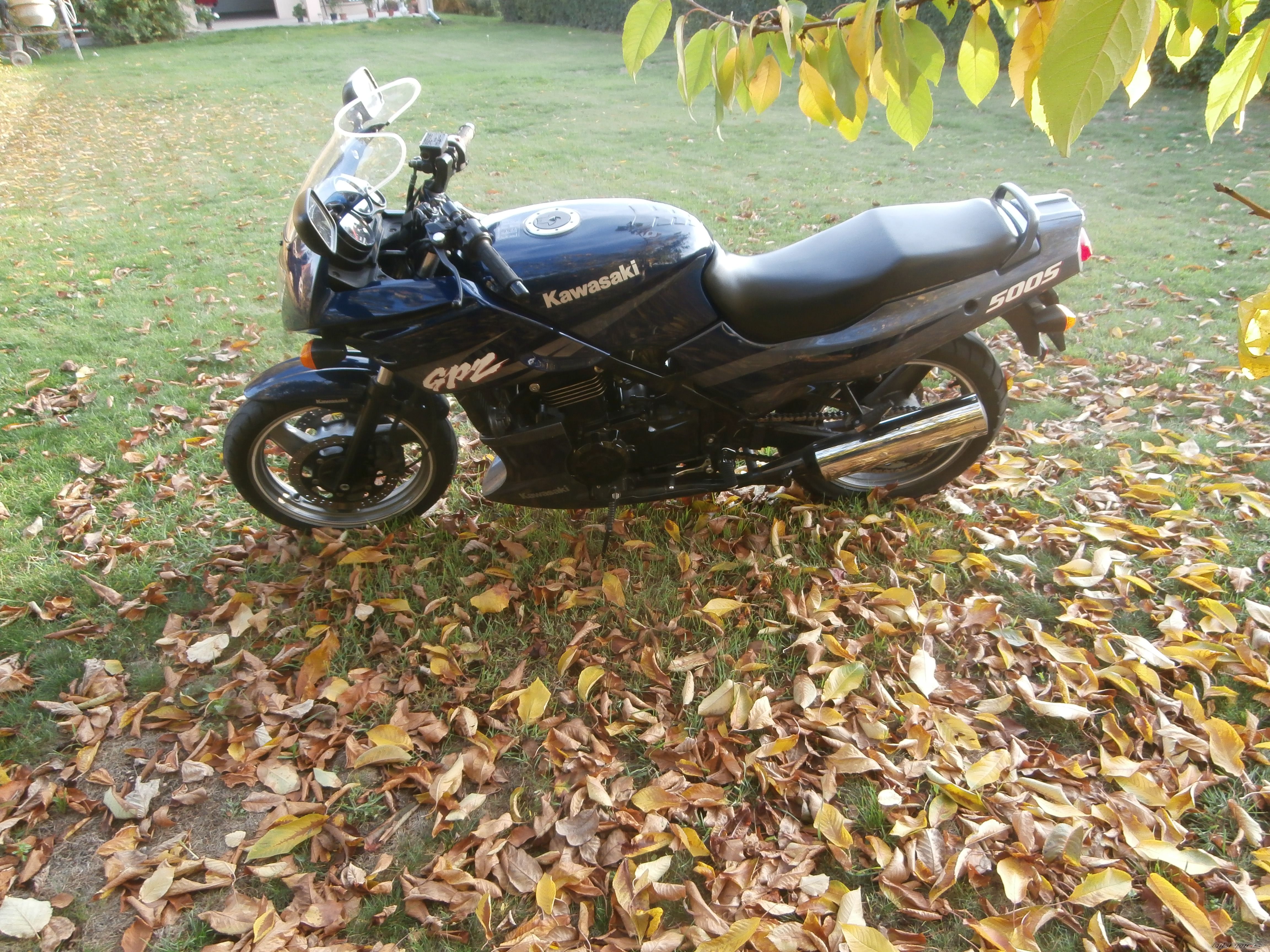 Photo 2608921